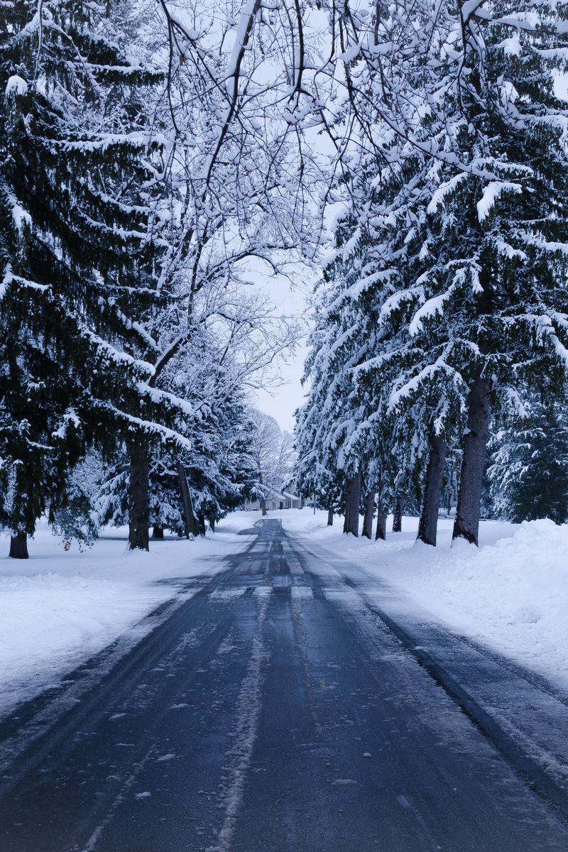 Download Wallpaper 800x1200 Winter, Road, Snow, Trees, Winter Landscape Iphone 4s 4 For Parallax HD Background
