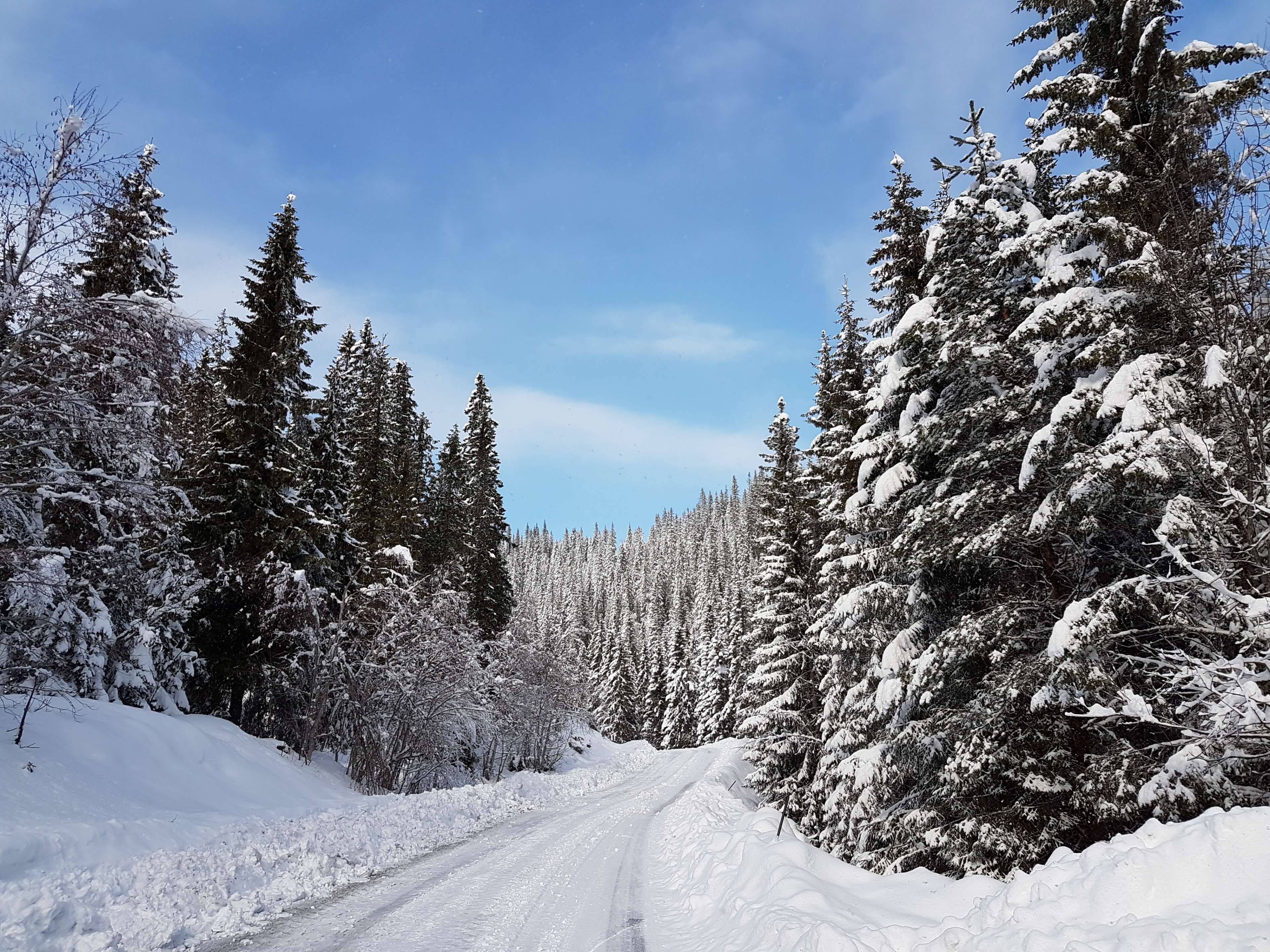 landscape #line of vision #norway #road #scandinavia #snow #winter #winter landscapes. Landscape, Winter landscape, Norway landscape