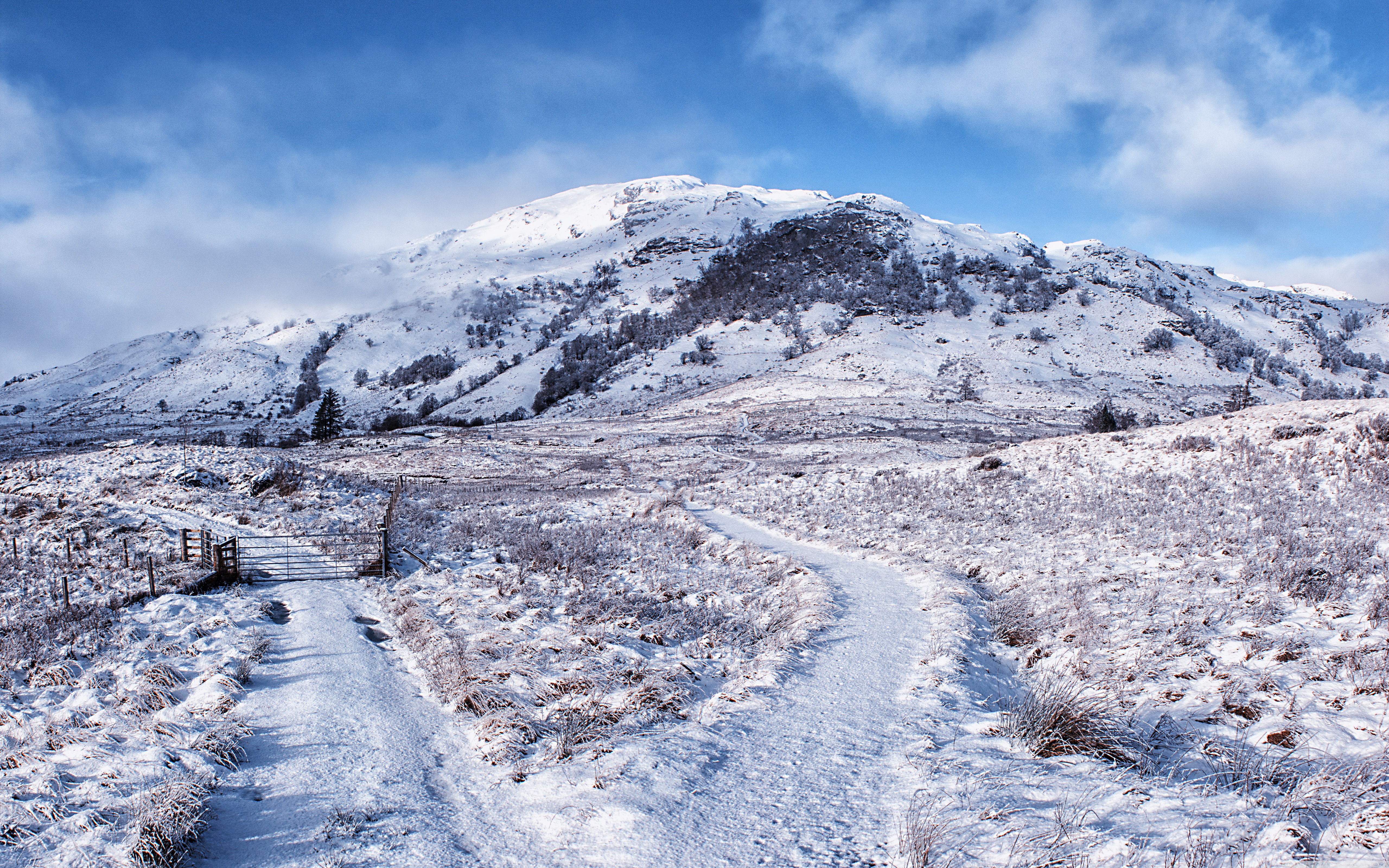 Fork In The Road Winter Landscape Ultra HD Desktop Background Wallpaper for: Multi Display, Dual Monitor, Tablet