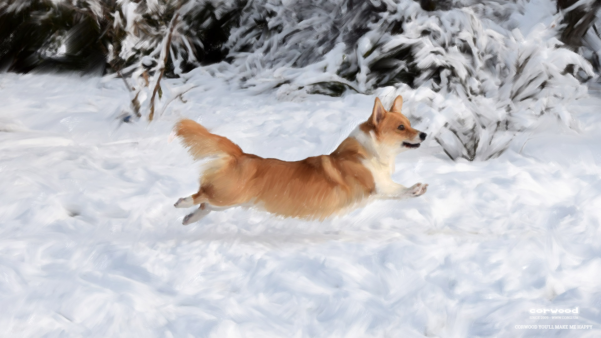 CORGI.UA, CORWOOD CORGIS