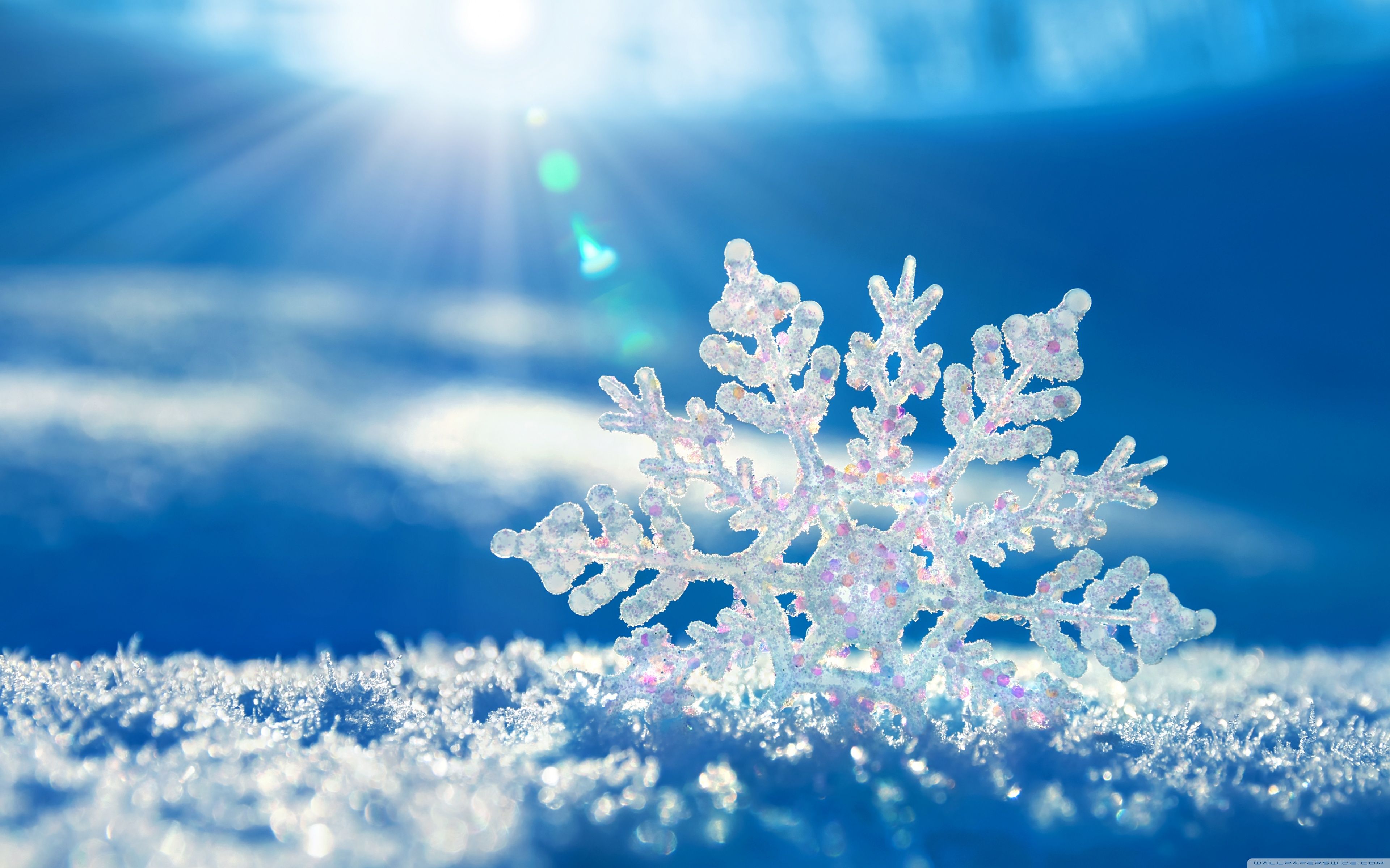 Winter Snowflakes Wallpaper