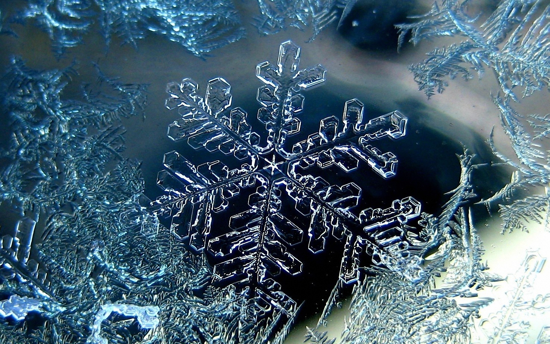 Snowflake HD Wallpaper and Background