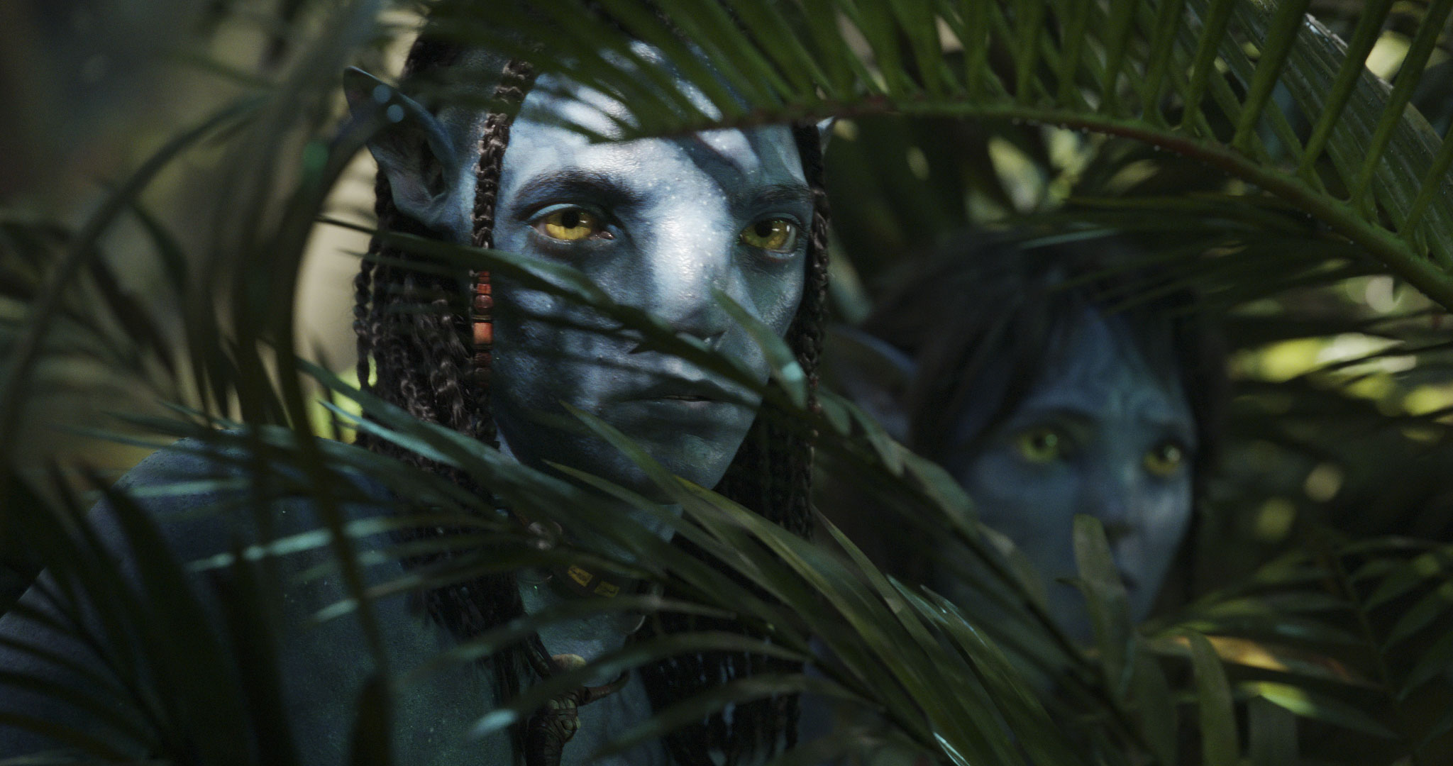 James Cameron Says He May Not Direct 'Avatar' 4 & 5