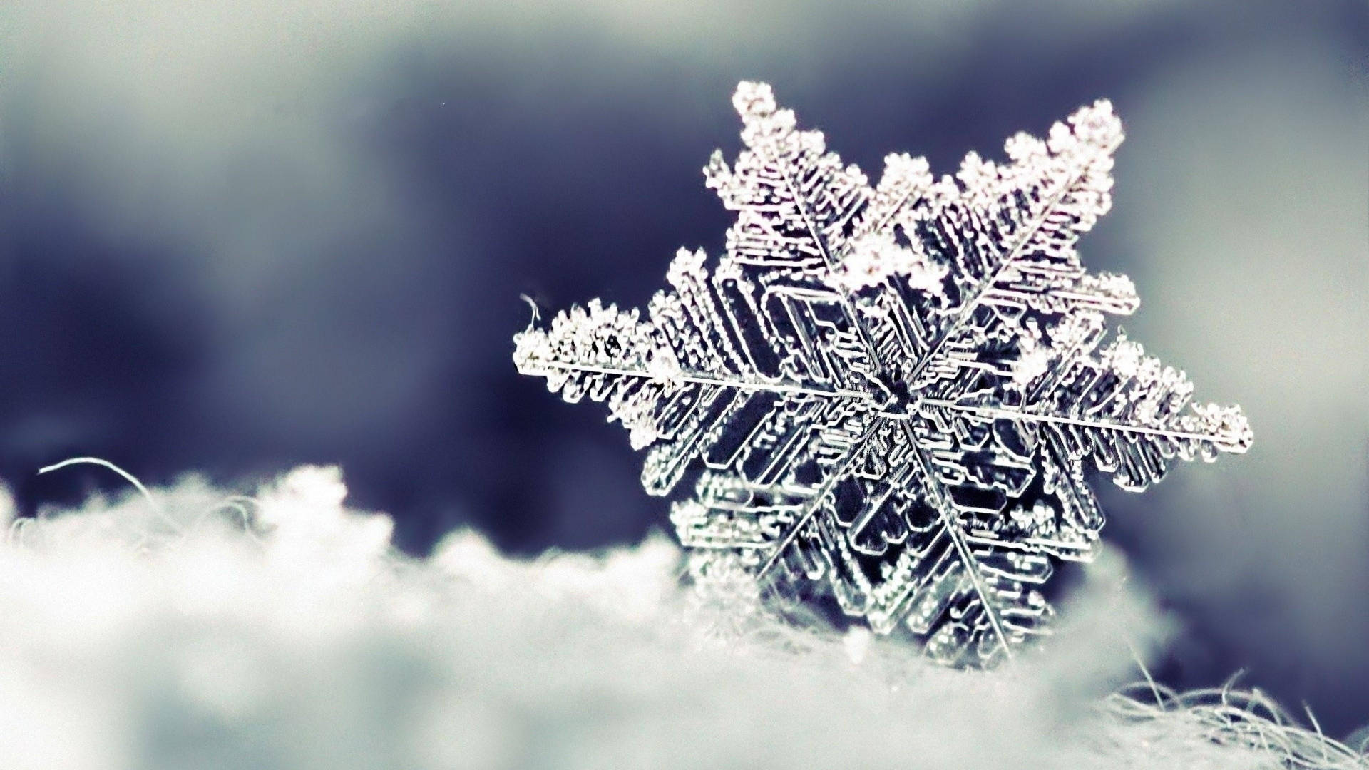 Snowflake Wallpaper & Background For FREE