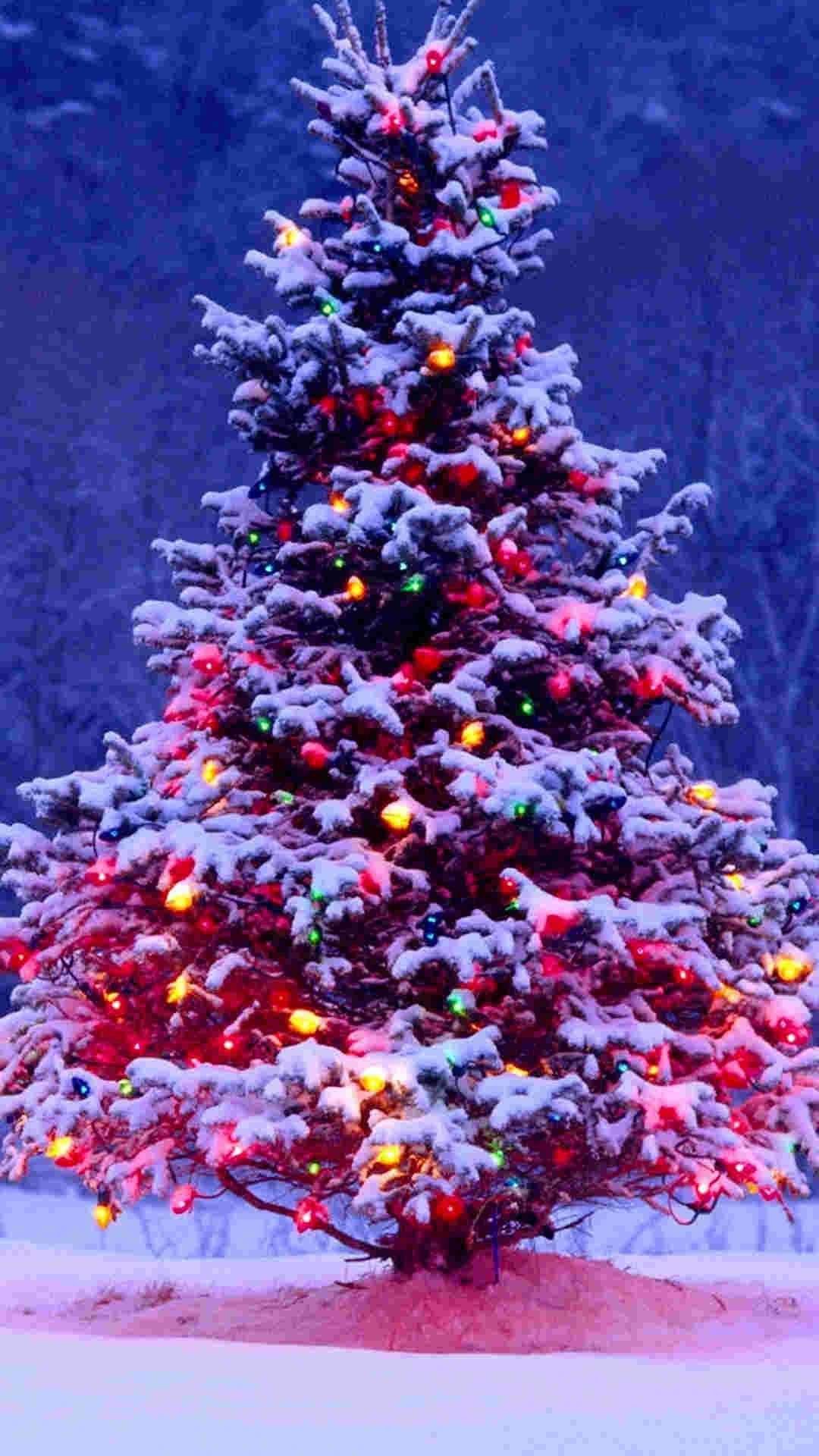 Download Pink Pine Tree Christmas iPhone Wallpaper