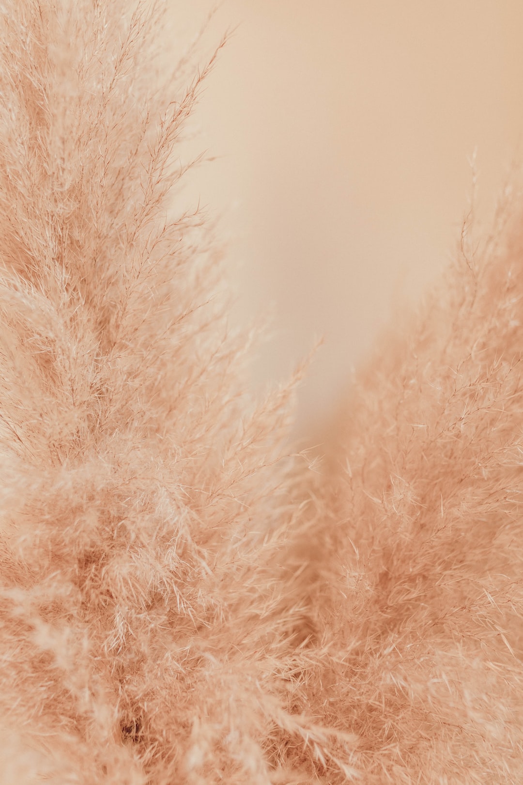 Light Brown or Tan Paper Texture with Flecks Picture, Free Photograph