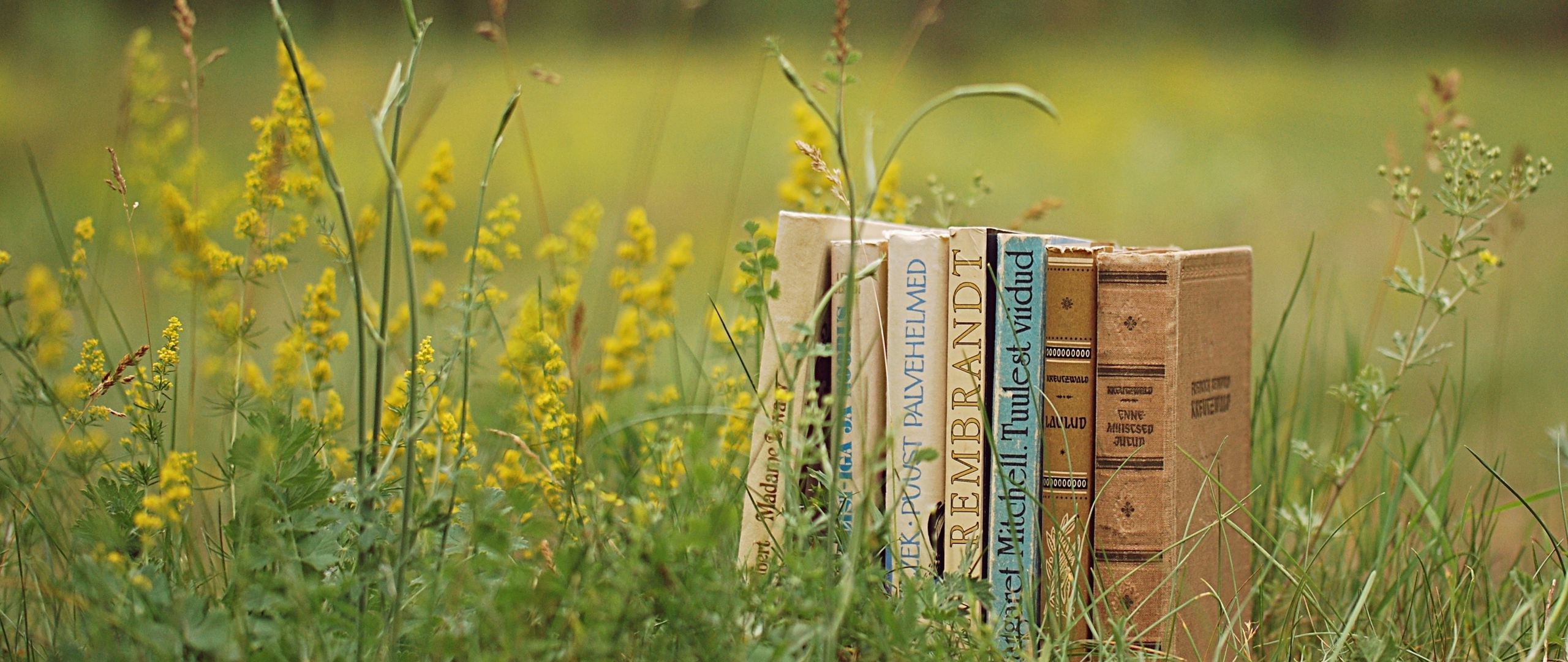 Download wallpaper 2560x1080 books, grass, stack, mood dual wide 1080p HD background