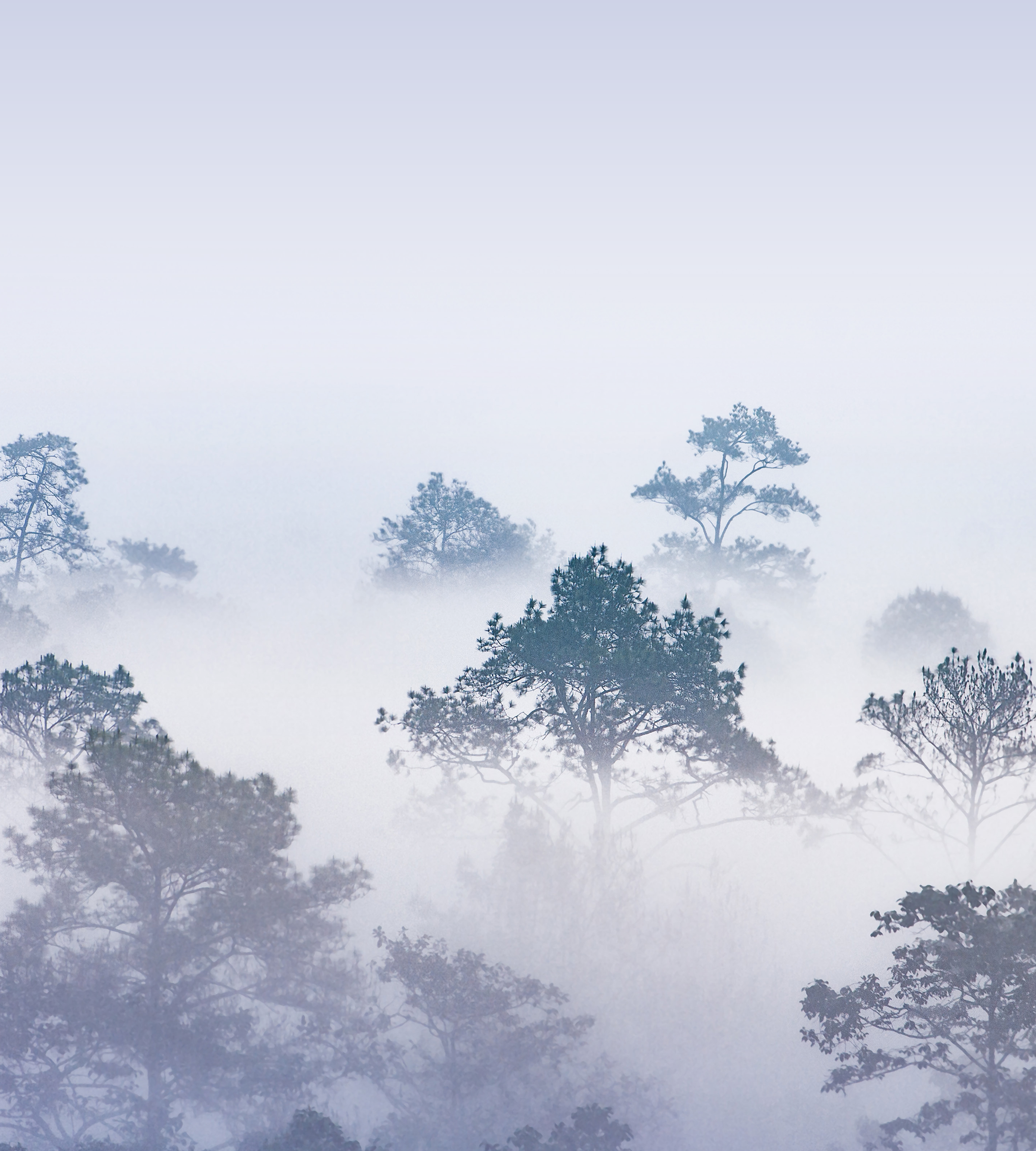 Nokia X30 5G wallpaper