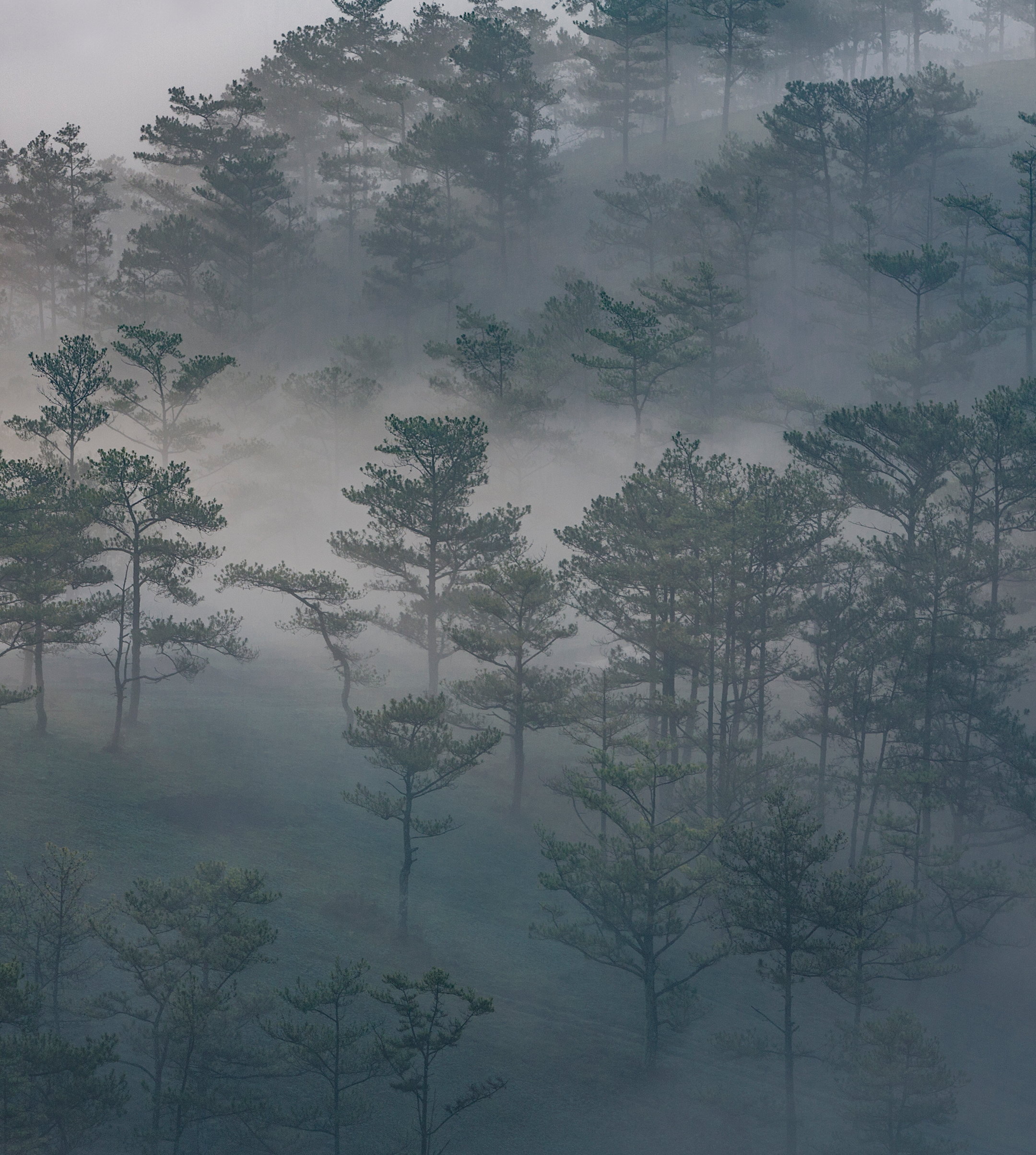 Nokia X30 5G wallpaper