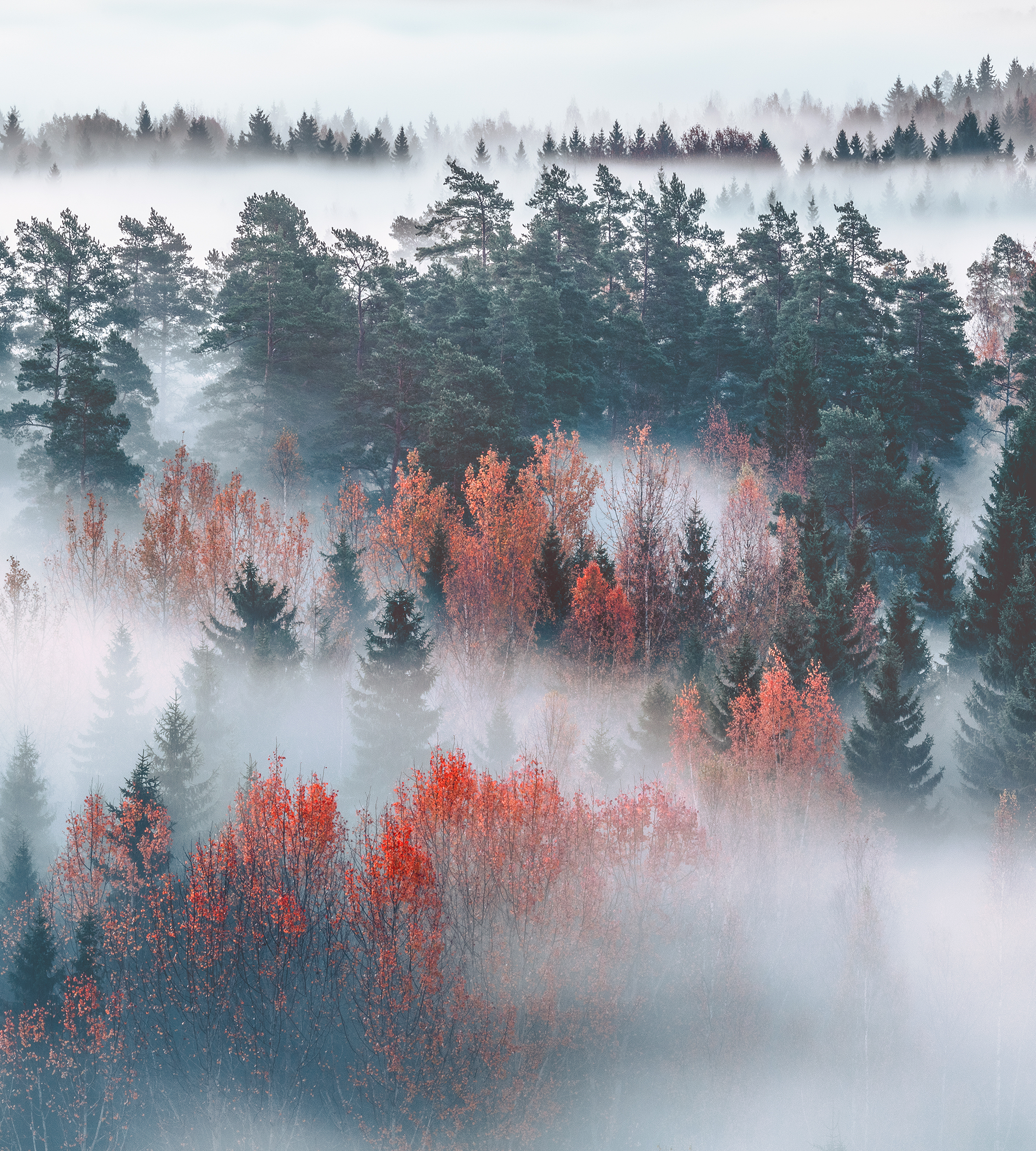 Nokia X30 5G wallpaper