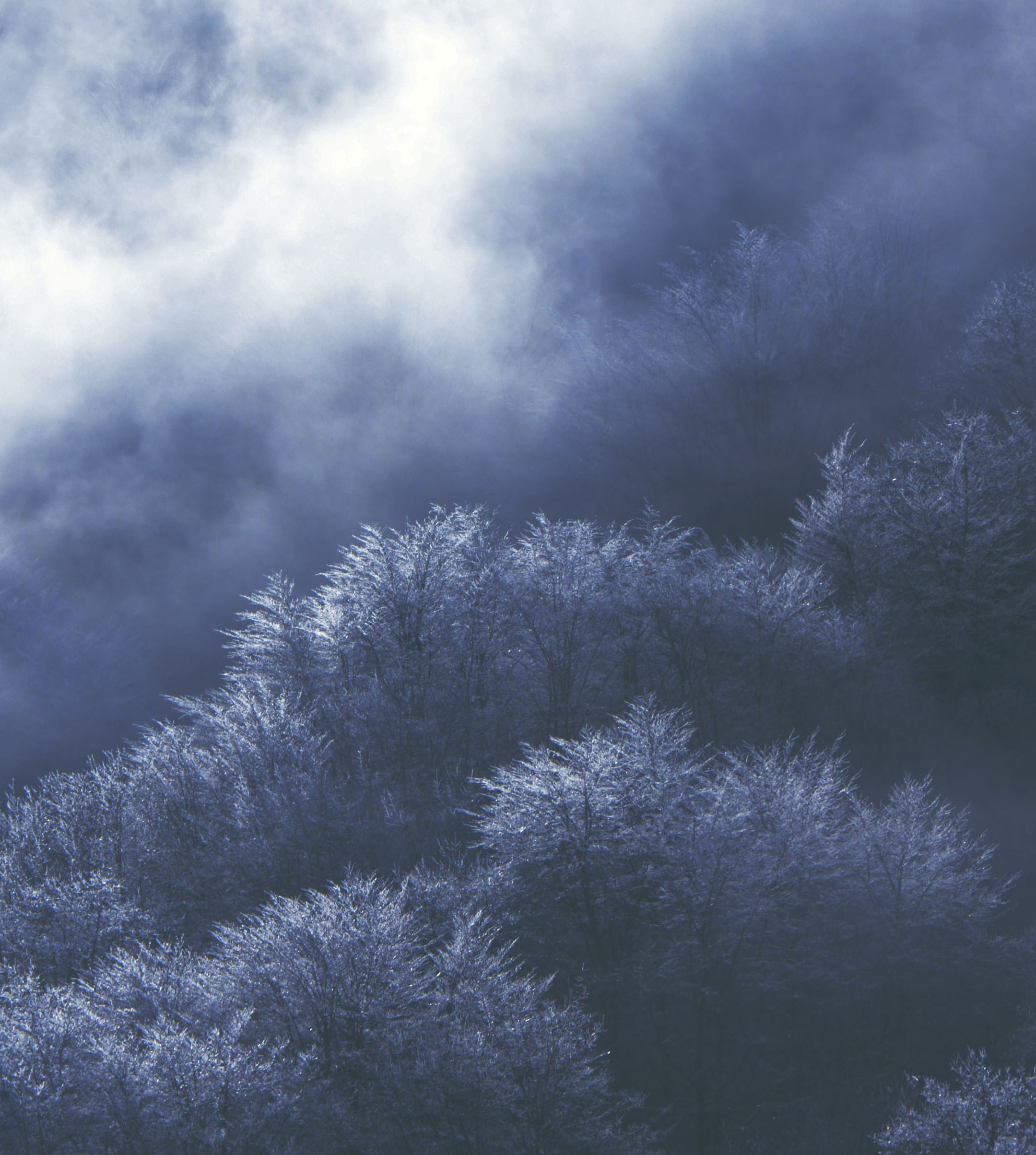 Nokia X30 5G wallpaper