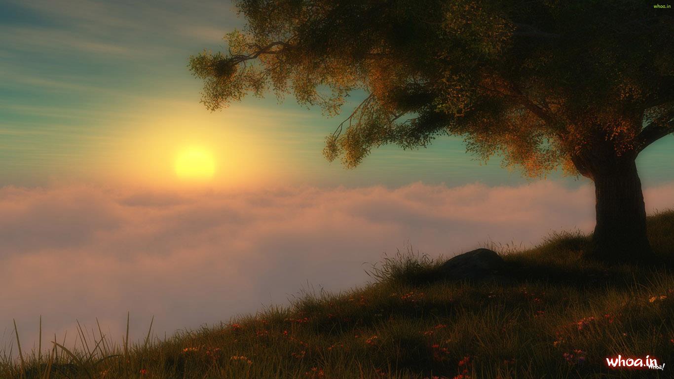 3D Evening Nature Wallpaper