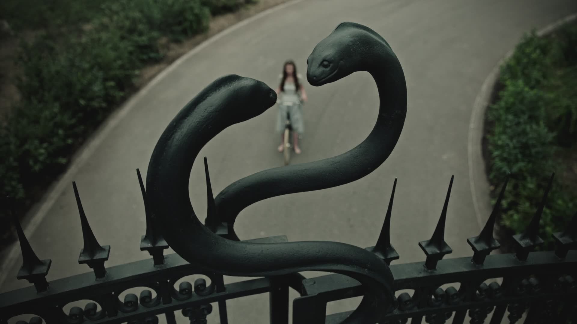 Cure for Wellness. A cure for wellness, The cure, Film aesthetic
