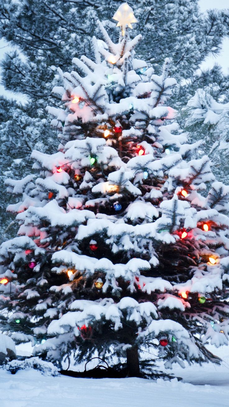 Snow Christmas Tree iPhone 6 Wallpaper. Weihnachtsbaum wallpaper, Weihnachtshintergrund, Weihnachten