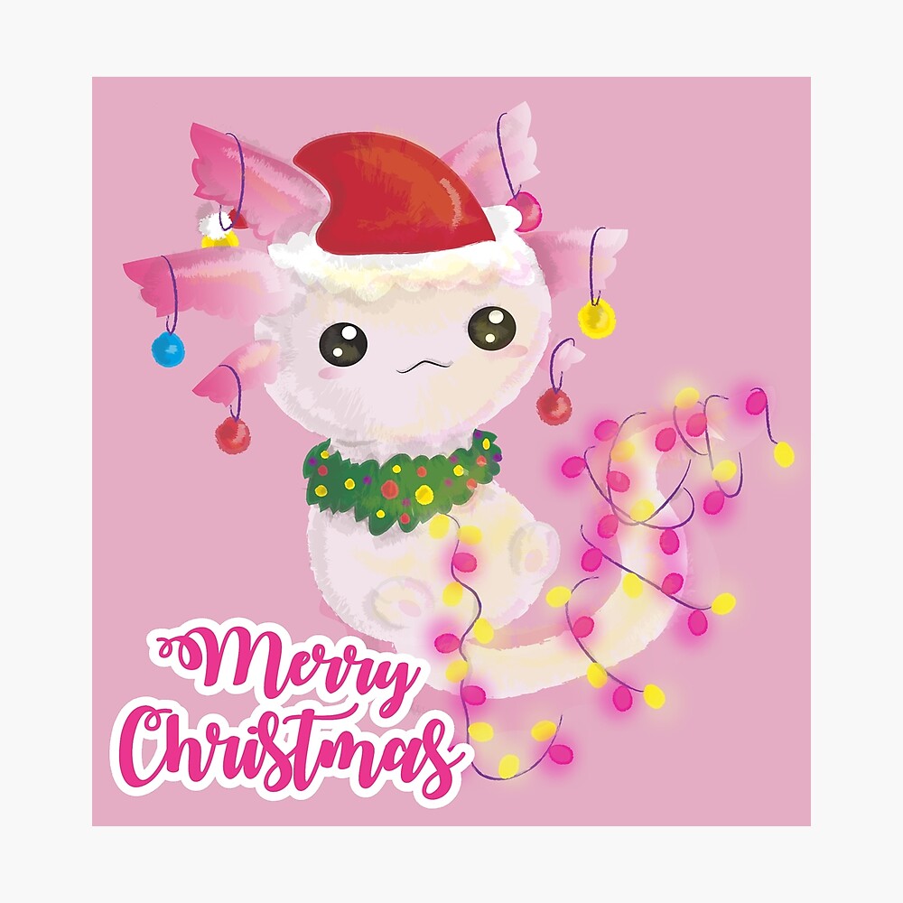 christmas-axolotl-wallpapers-wallpaper-cave