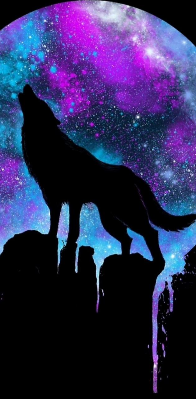 Cute Galaxy Wolf Wallpapers Wallpaper Cave