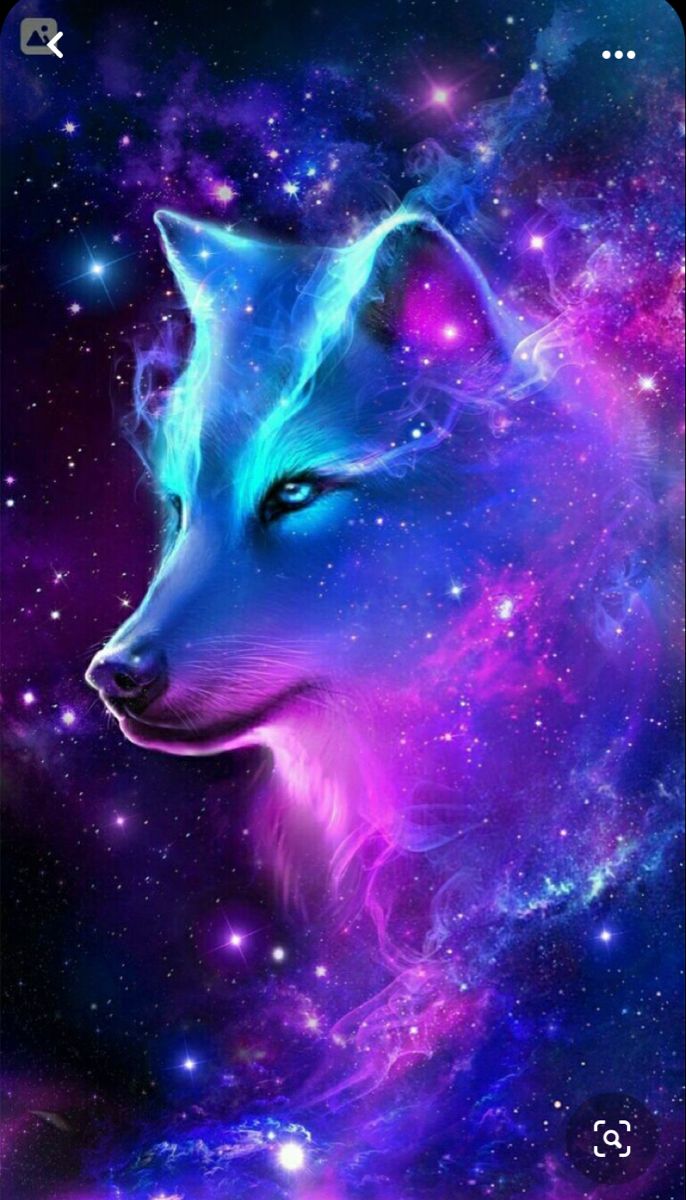 Galaxy wolf. Cute wolf drawings, Cute animal photo, Cute animals image