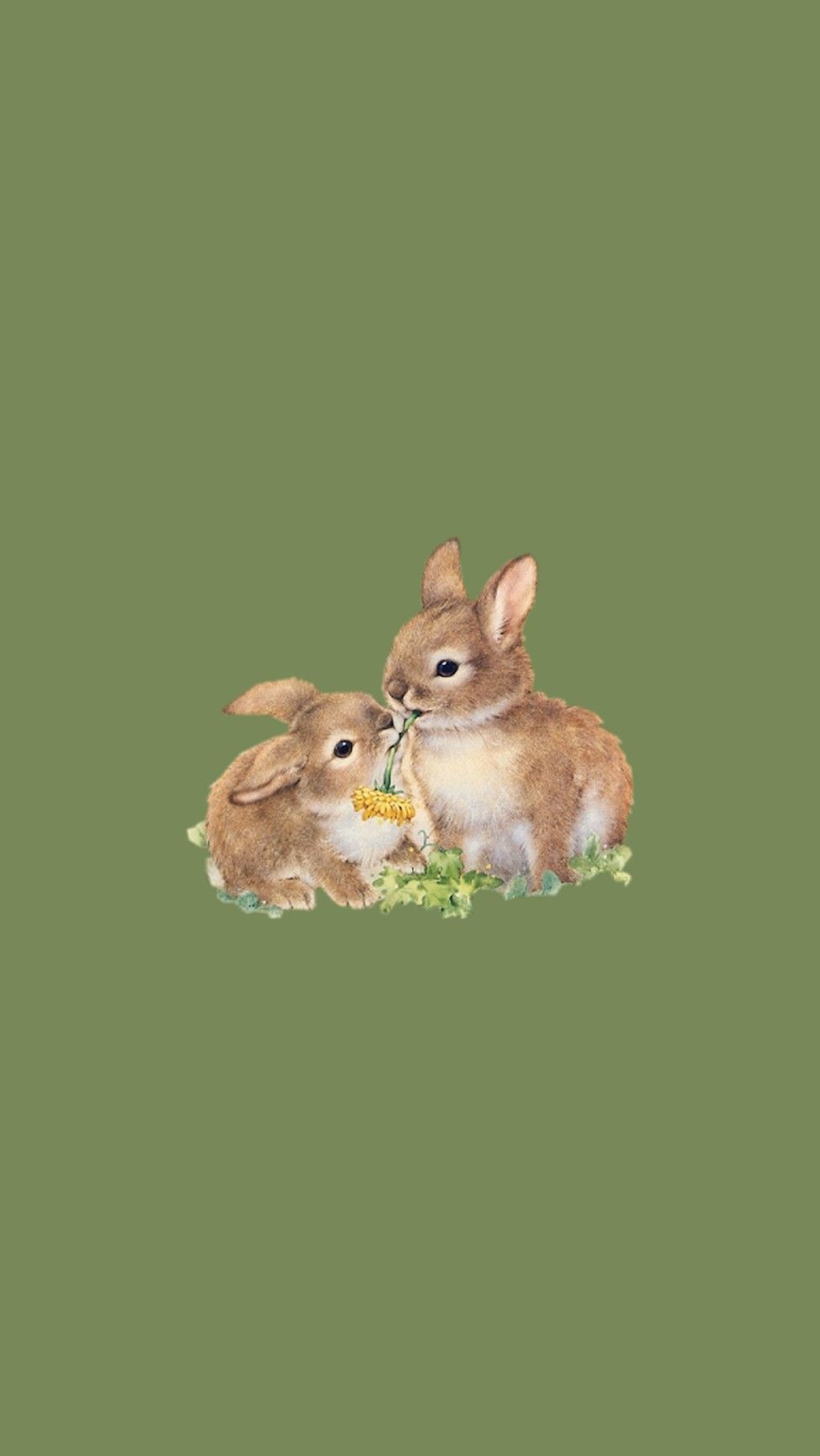 Green Wallpaper. Rabbit wallpaper, Bunny wallpaper, Wallpaper iphone cute