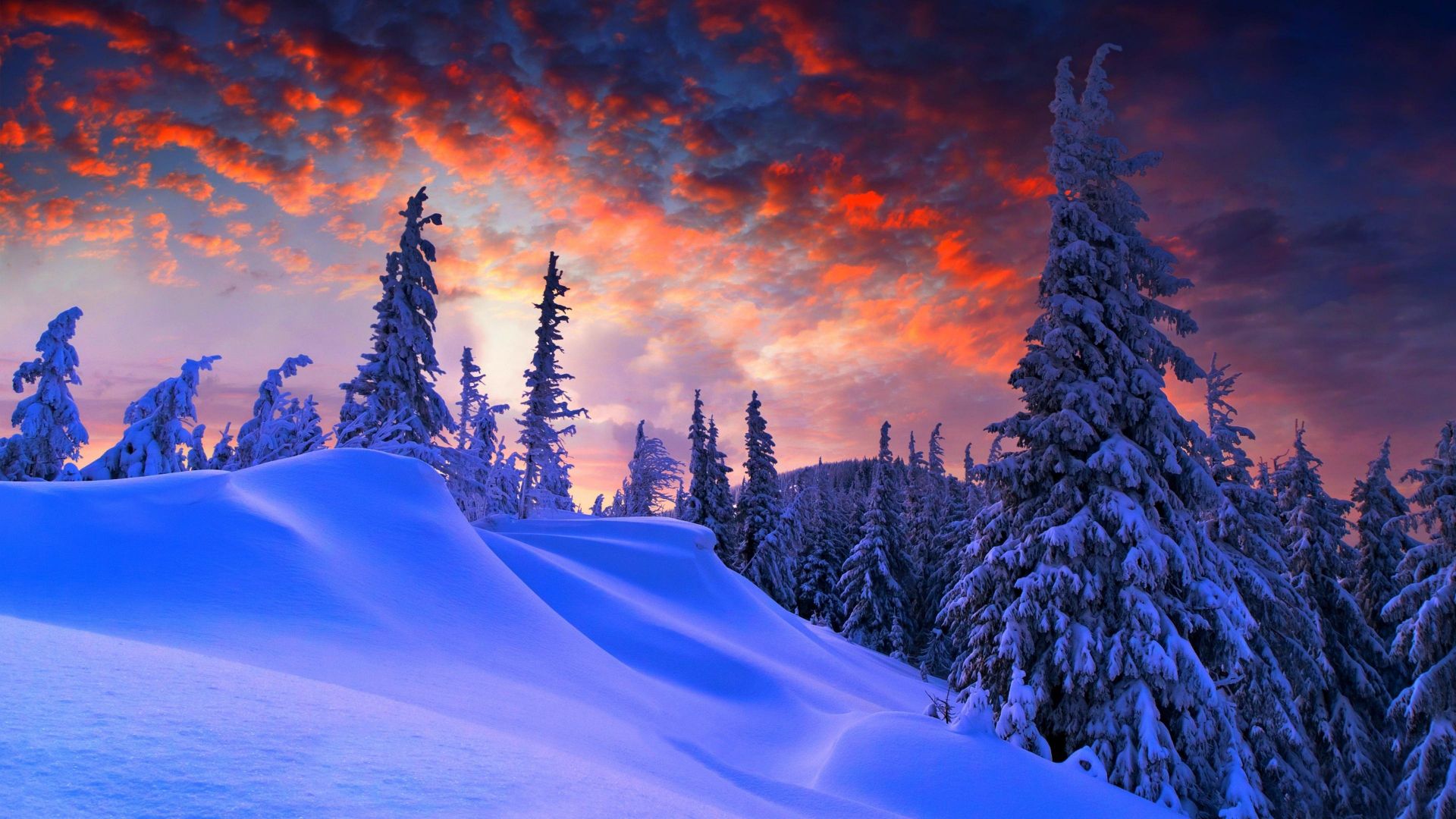 Winter Christmas wallpaper in 1920x1080 resolution