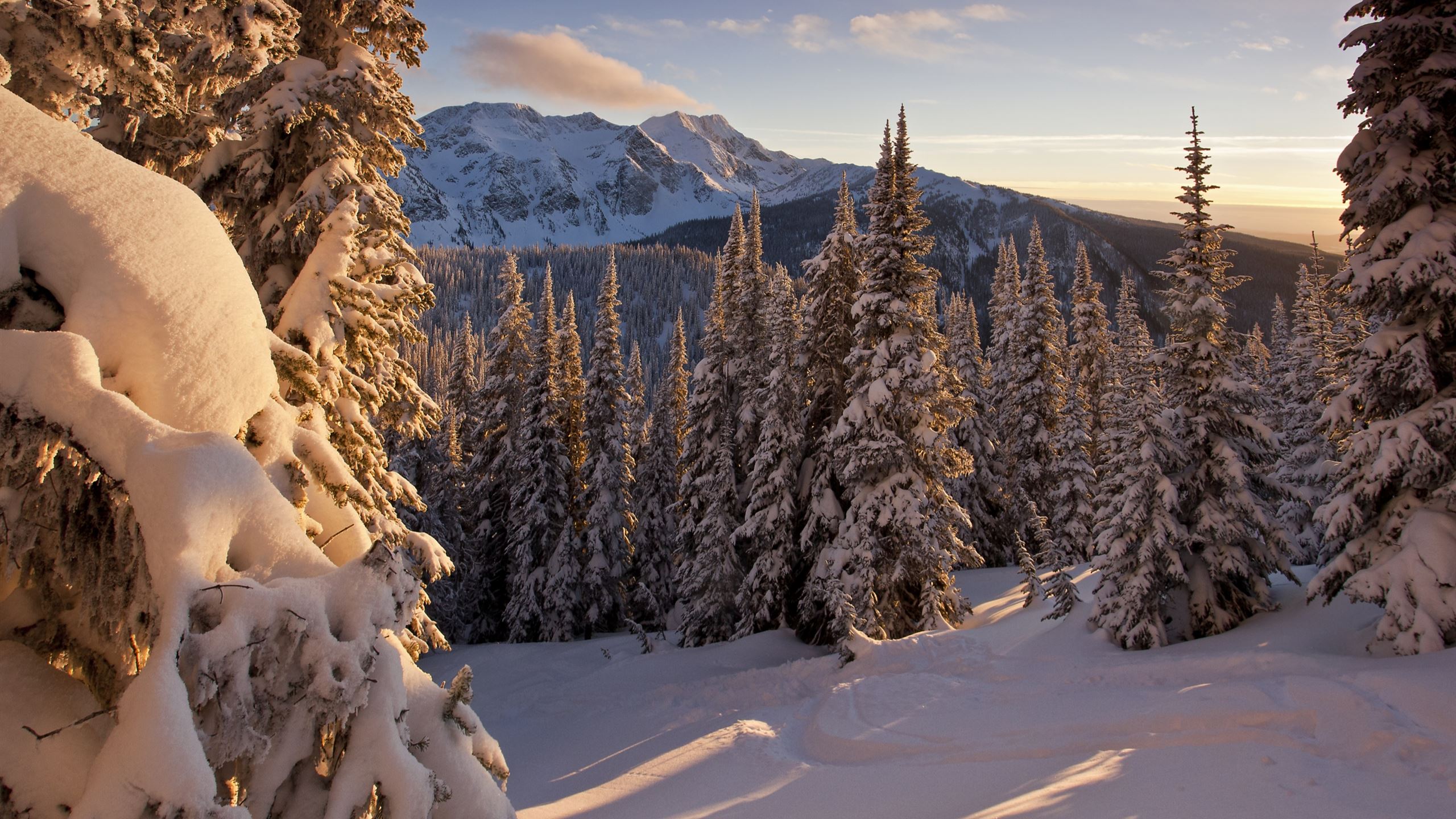 Low Winter Sun Mac Wallpaper Download