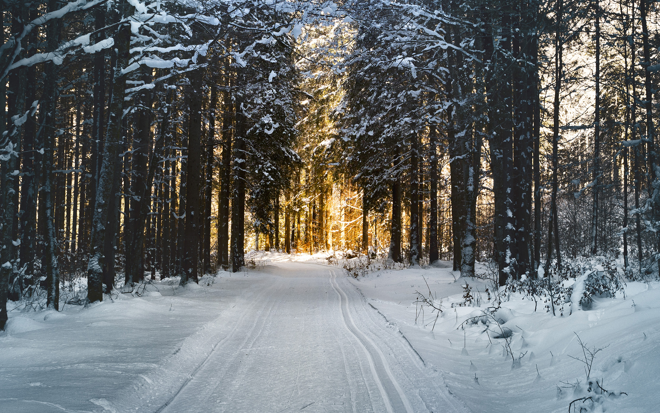 Snow Street Mountain Light Winter Nature Wallpaper