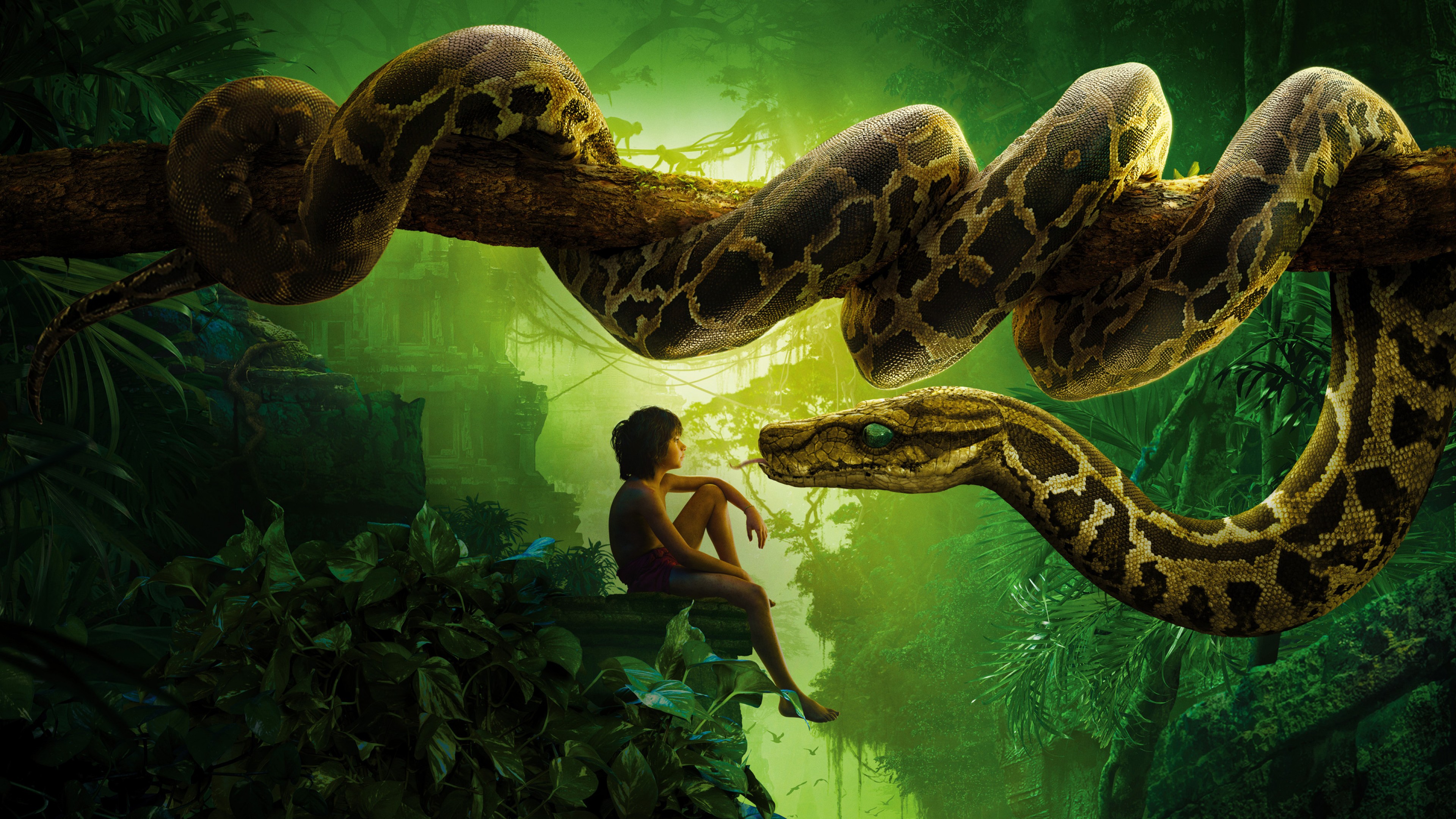 Jungle Book Snake Kaa Mowgli HD Wallpaper for Desktop and Mobiles 4K Ultra HD