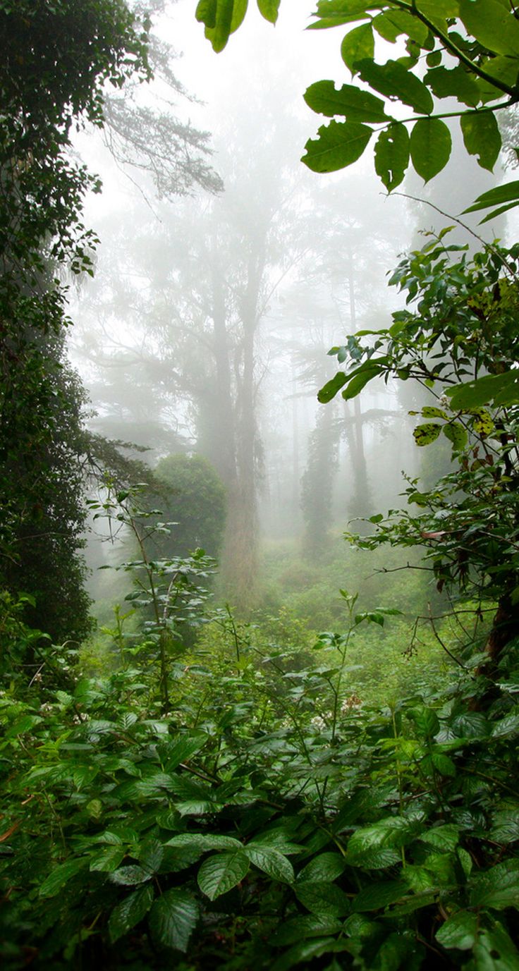 Nature iPhone wallpaper /23065/. Nature, Landscape, Landscape photography