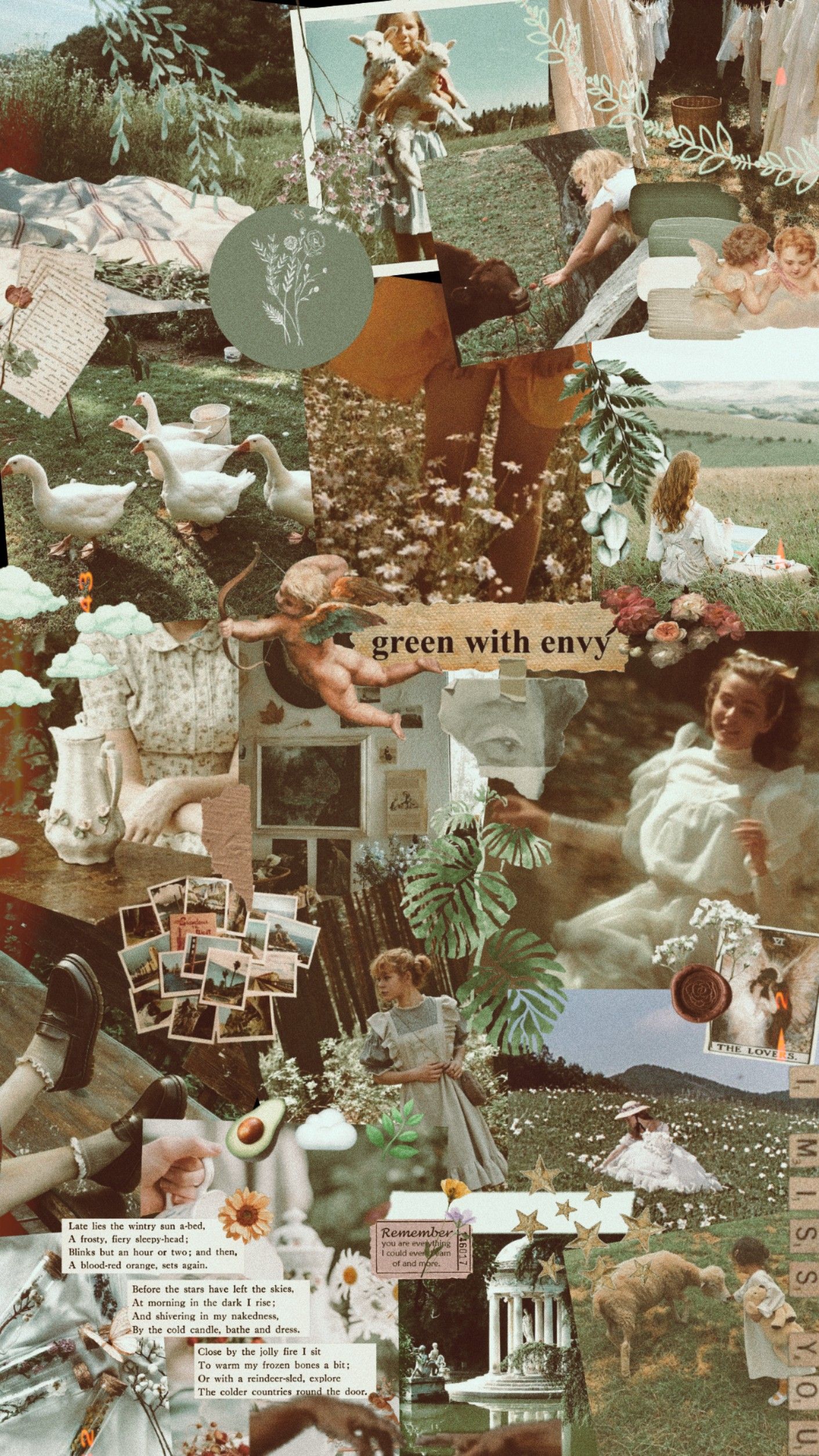 Aesthetic nature wallpaper