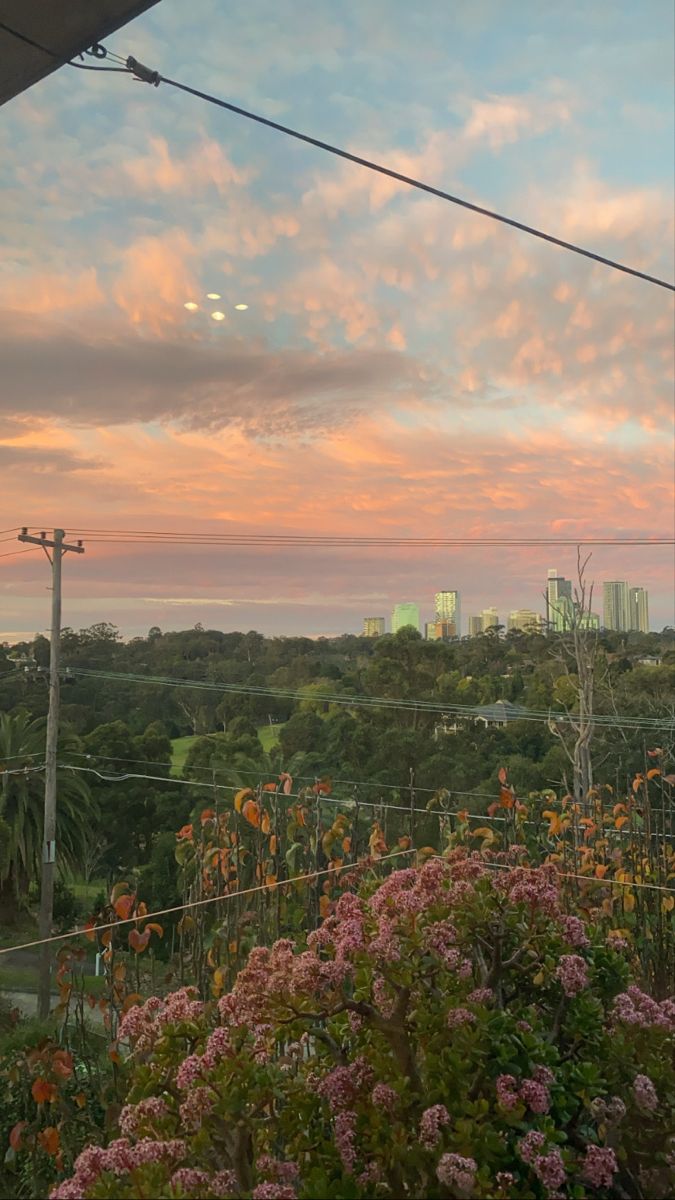 summer. Nature aesthetic, Green scenery, Green landscape