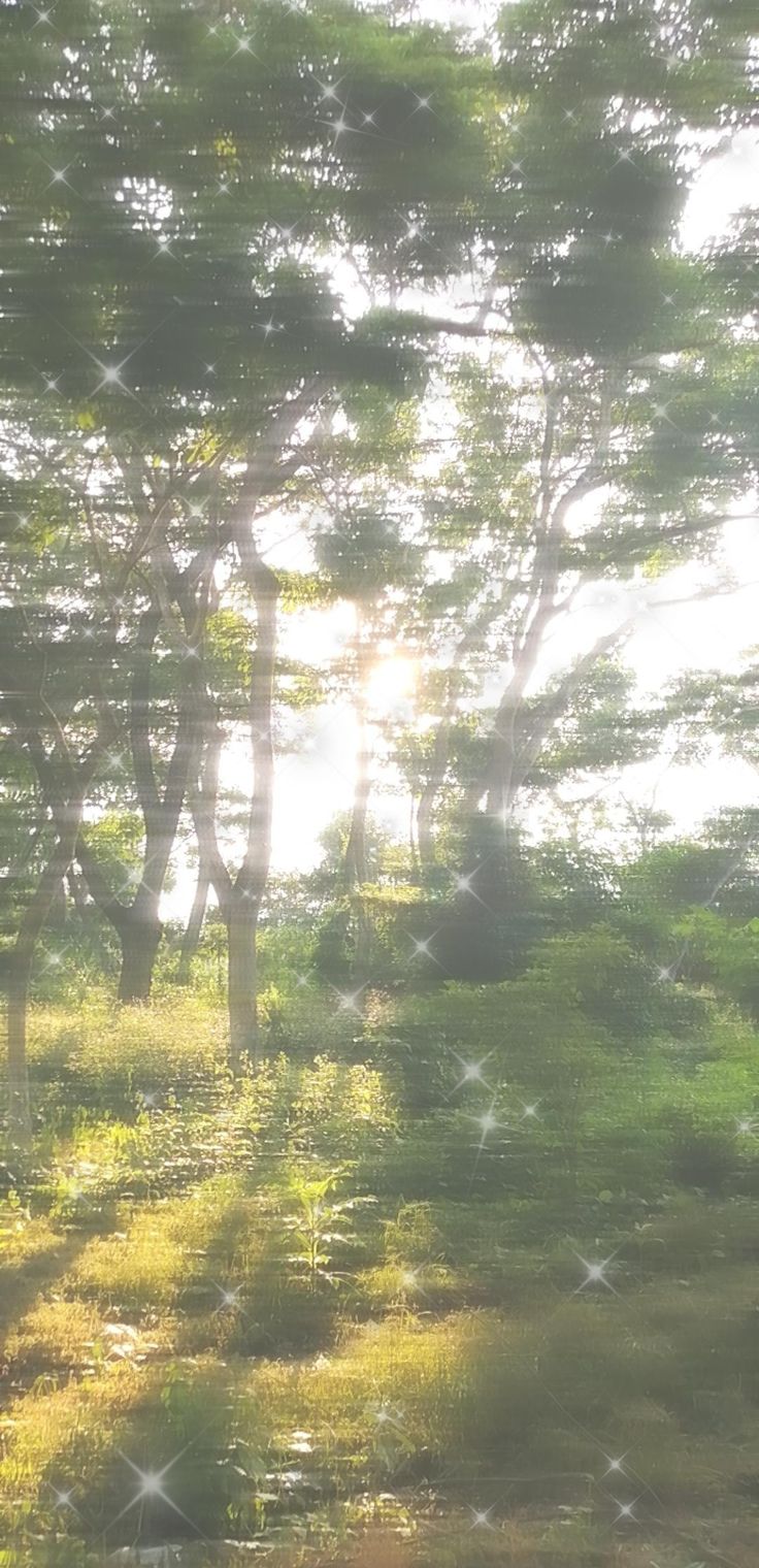 fondo de pantalla cottagecore ✨