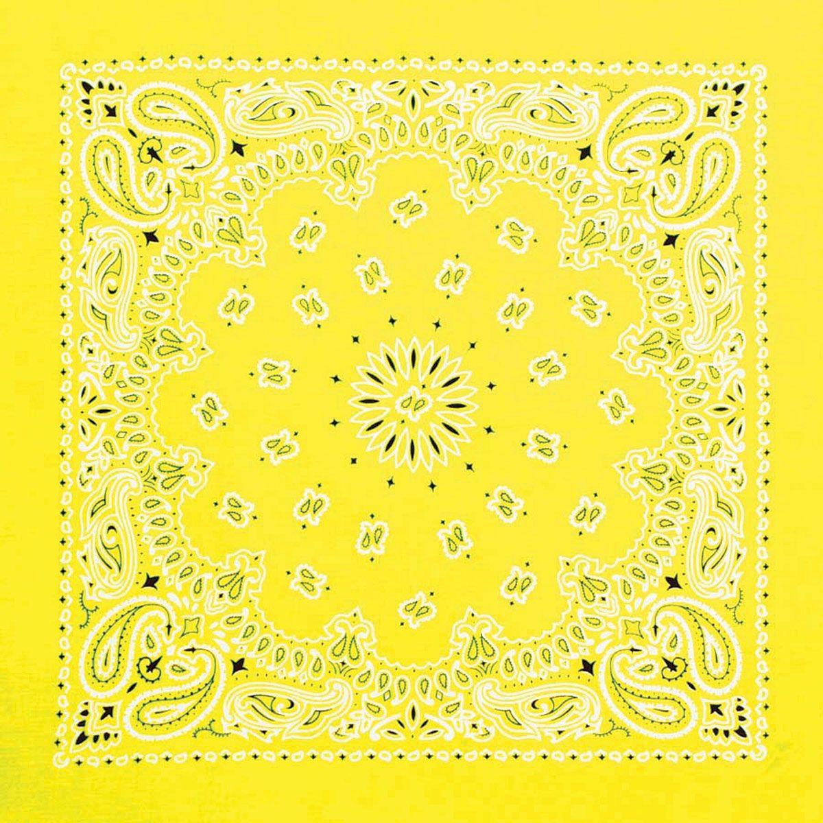 Hav A Hank Novelty Bandana Yellow Paisley, 22 W X 22 L. BLICK Art Materials. Fabric Markers, Bandana, Neon Yellow