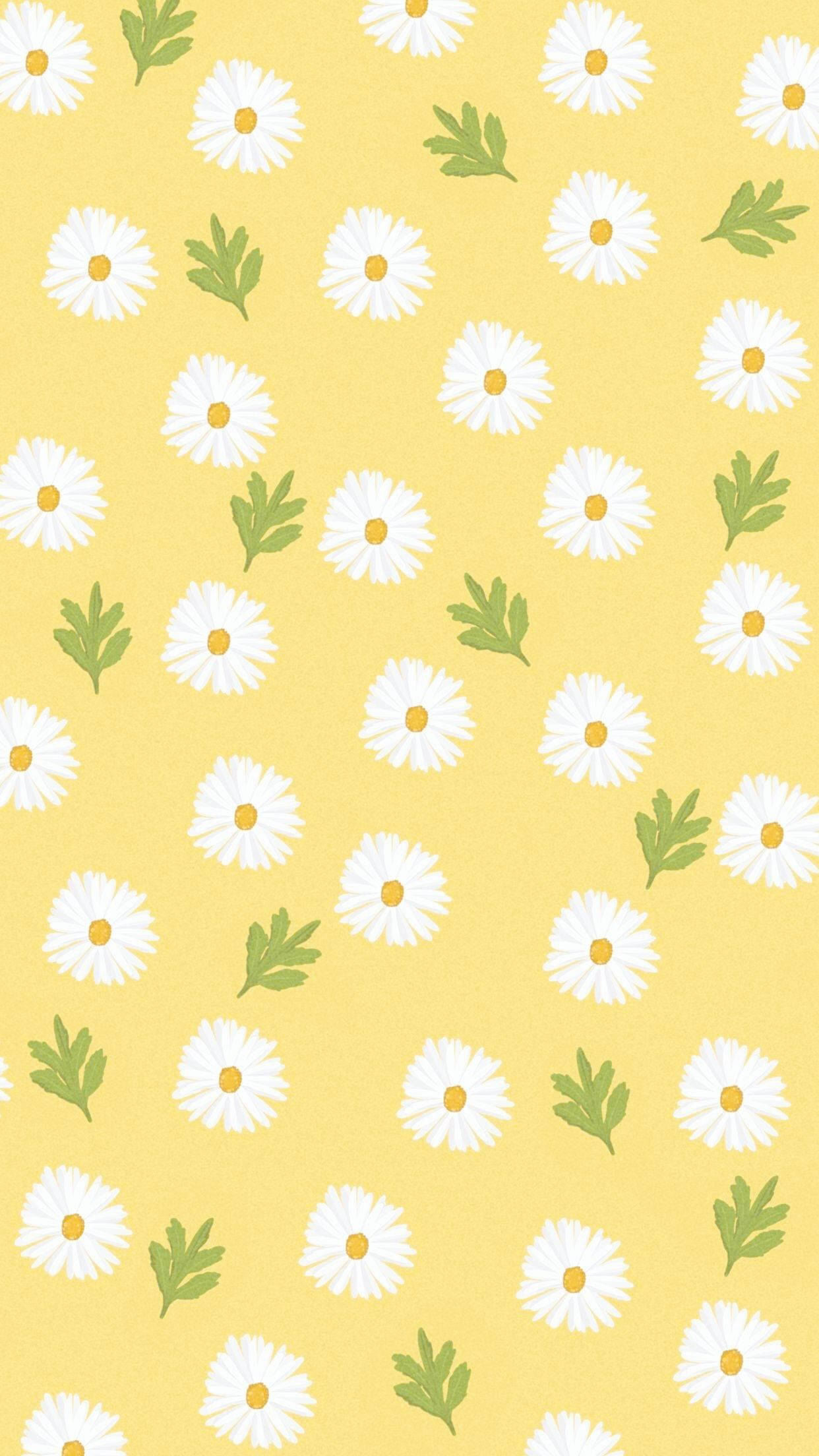 Download White Daisy Aesthetic Leaves Yellow Wallpaper