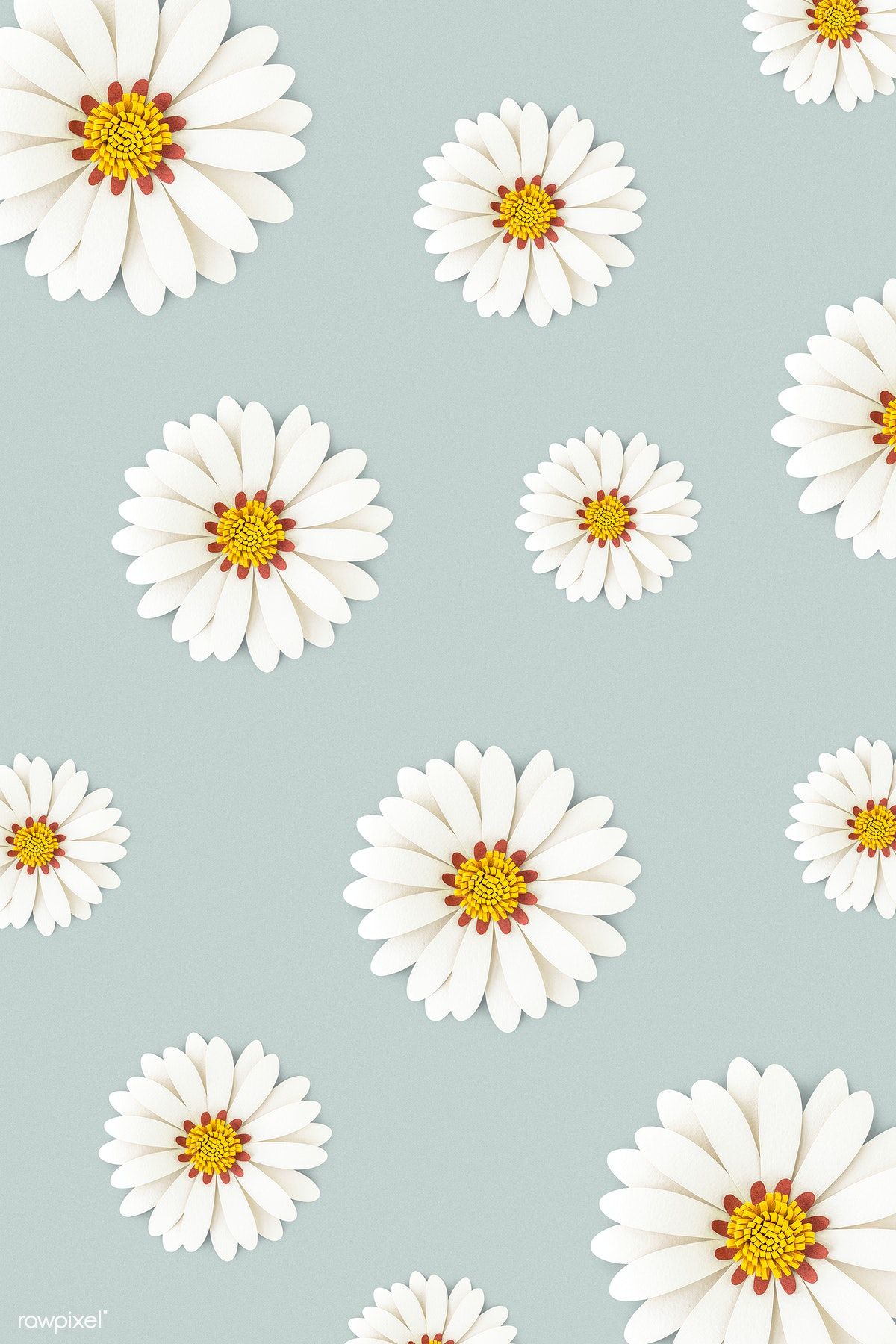 White daisy flower on light blue background. premium image / Minty. Daisy wallpaper, Sunflower wallpaper, Flower phone wallpaper