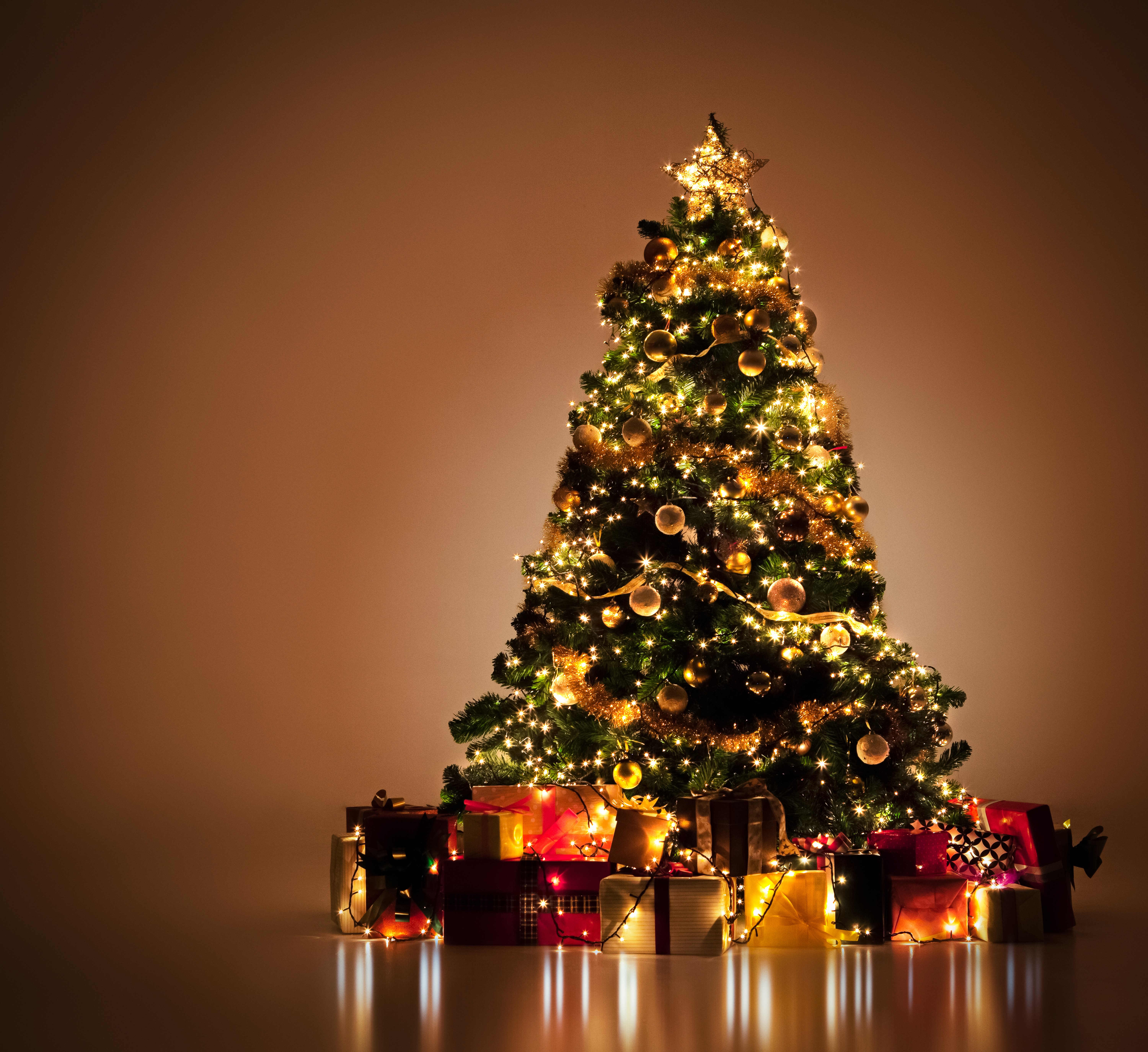 4K, 5K, 6K, Christmas, Colored background, Christmas tree, Gifts, Fairy lights Gallery HD Wallpaper