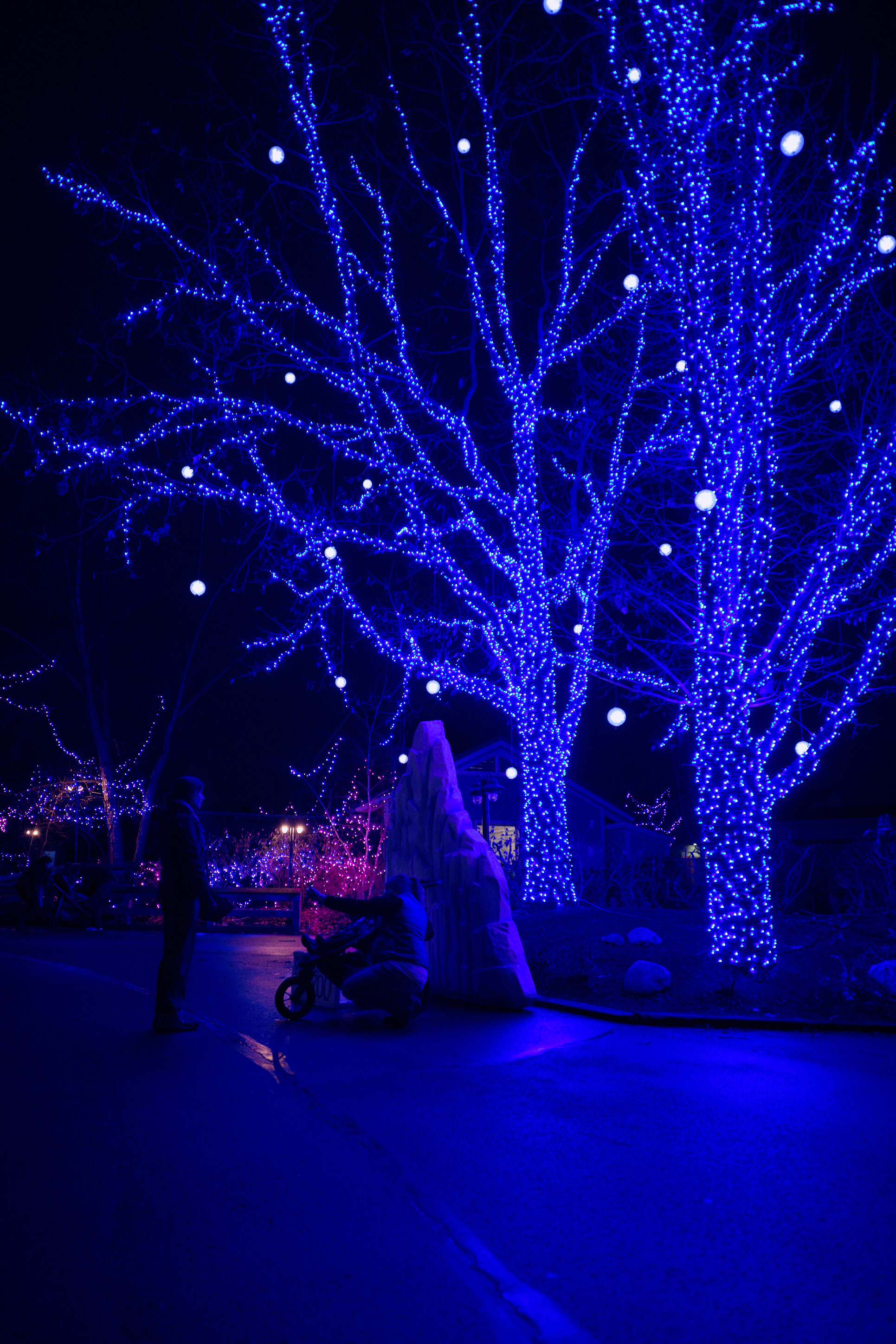 Happy Holidays Update Schumm Photography