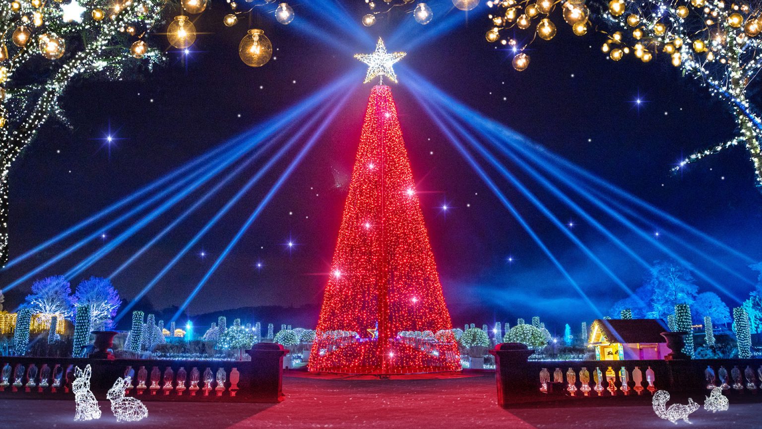 Christmas at Trentham