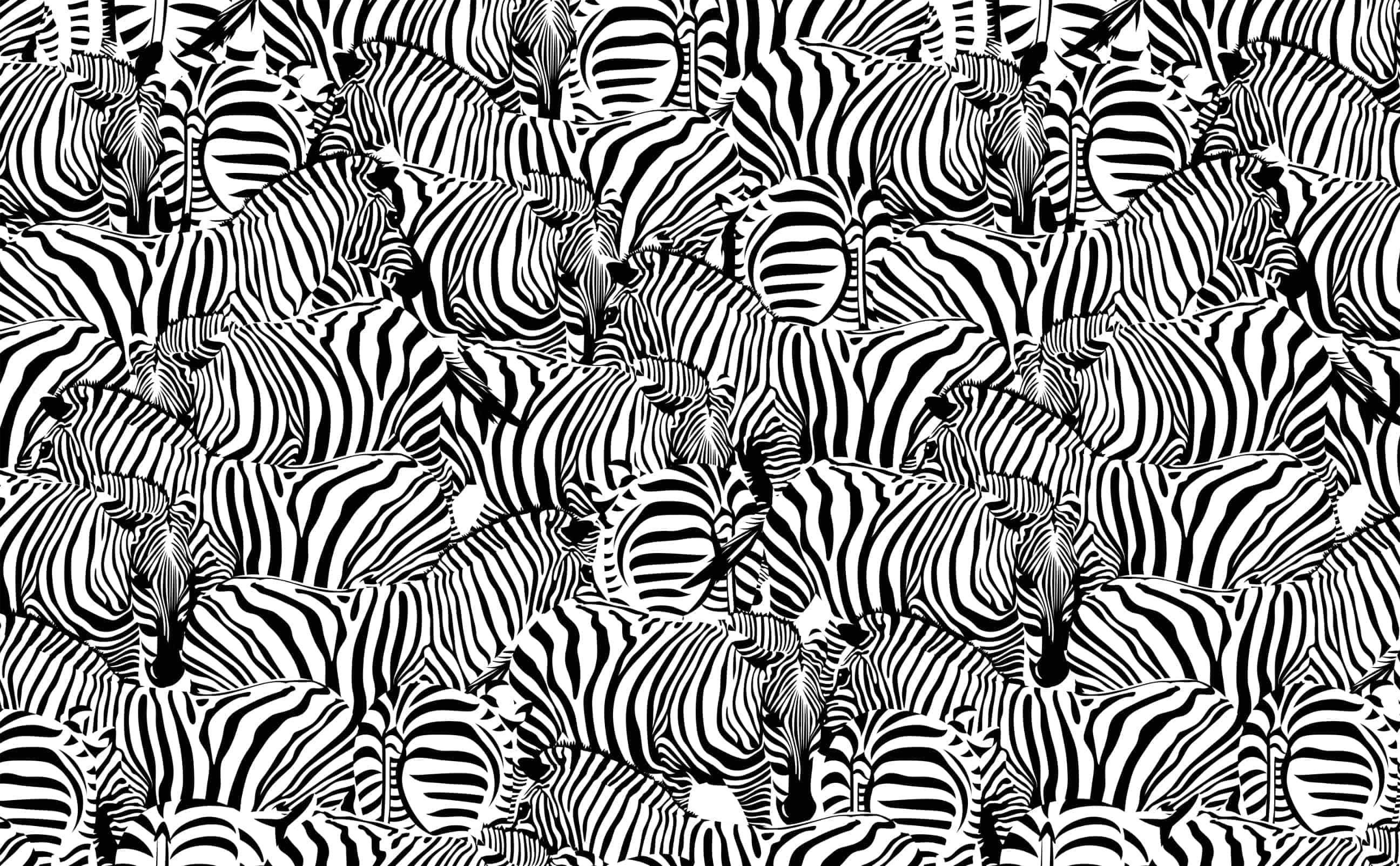 Stylish black and white zebra Pattern Wallpaper for Walls