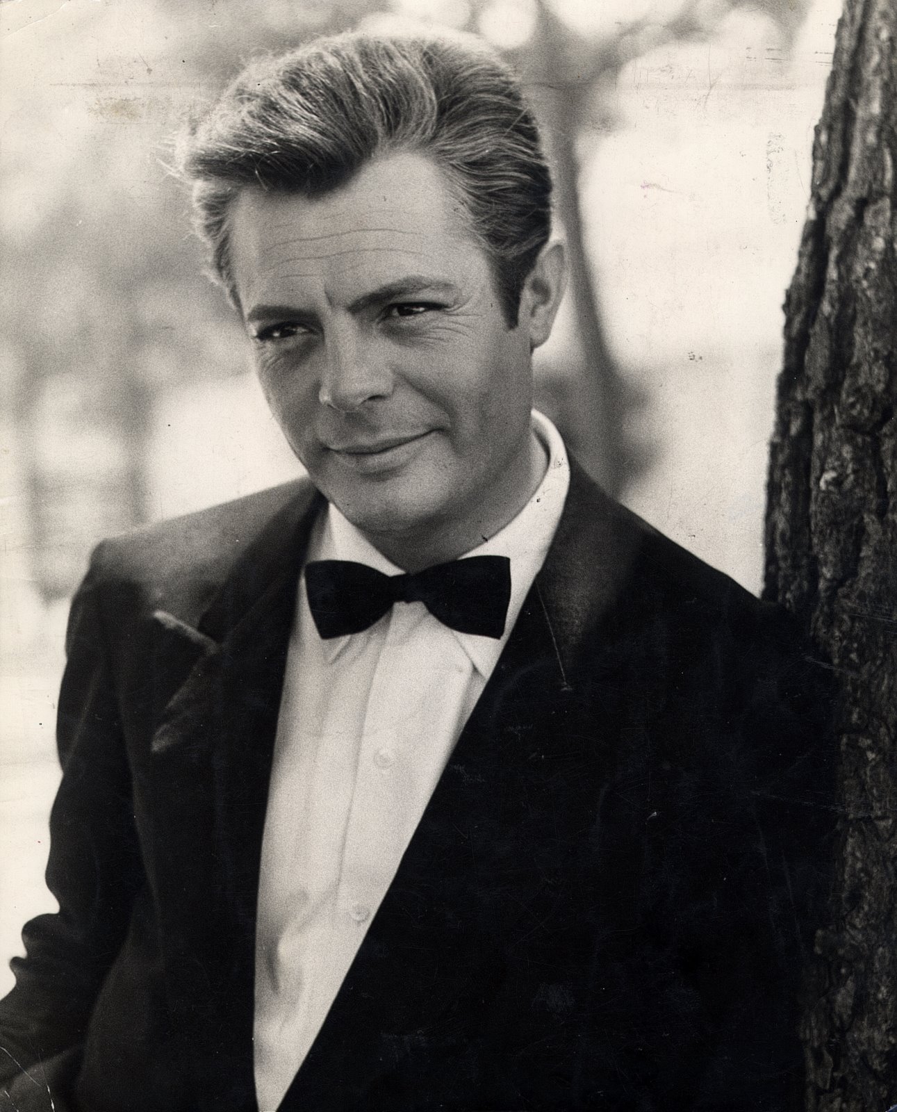 Marcello Mastroianni wallpaper