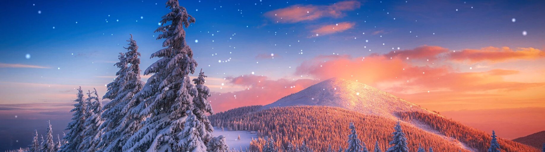 Best Ultrawide Wallpaper