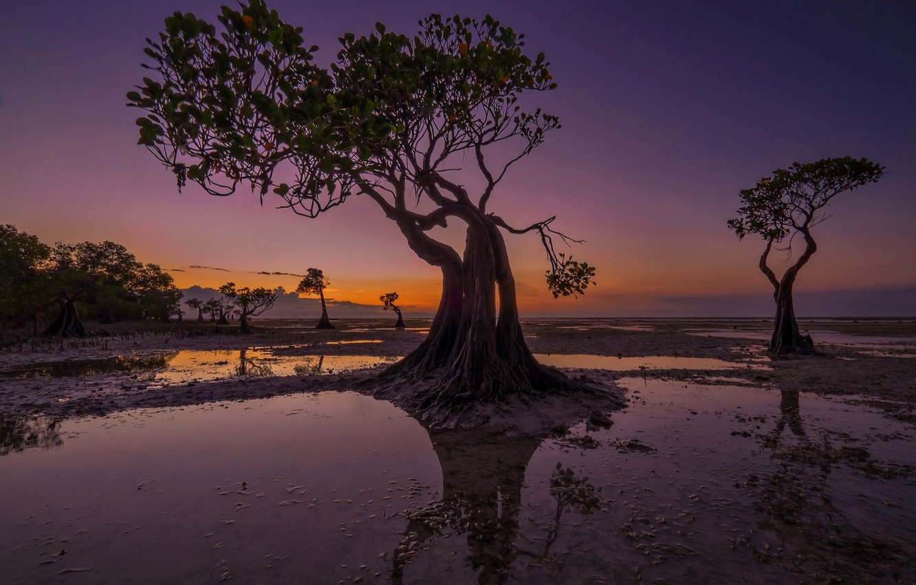 Walakiri Beach Indonesia Wallpapers - Wallpaper Cave