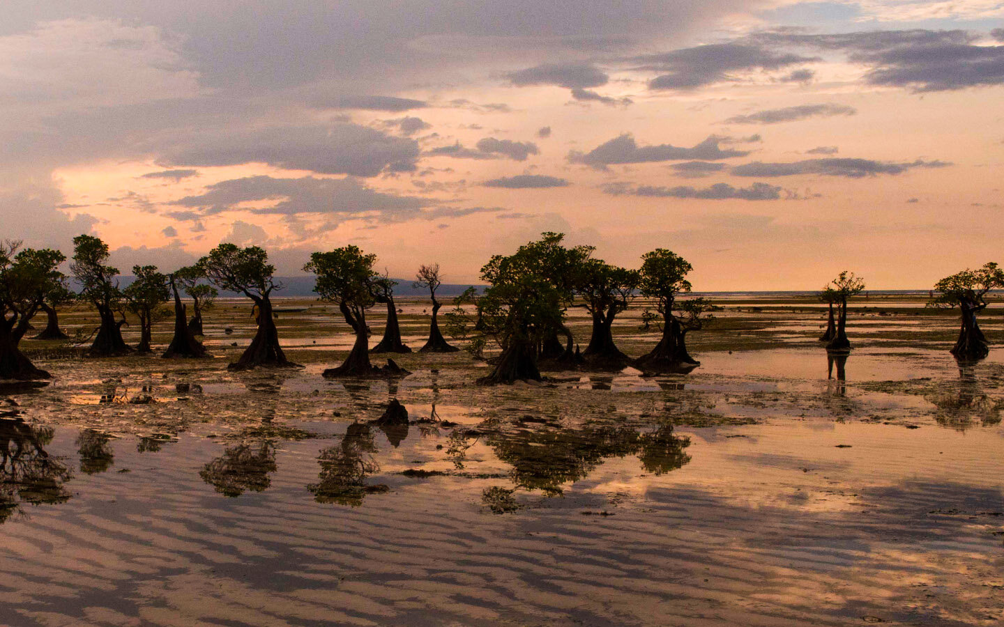Sumba, Indonesia Traditions of Cloth While Encountering a Magical Island <br/>
