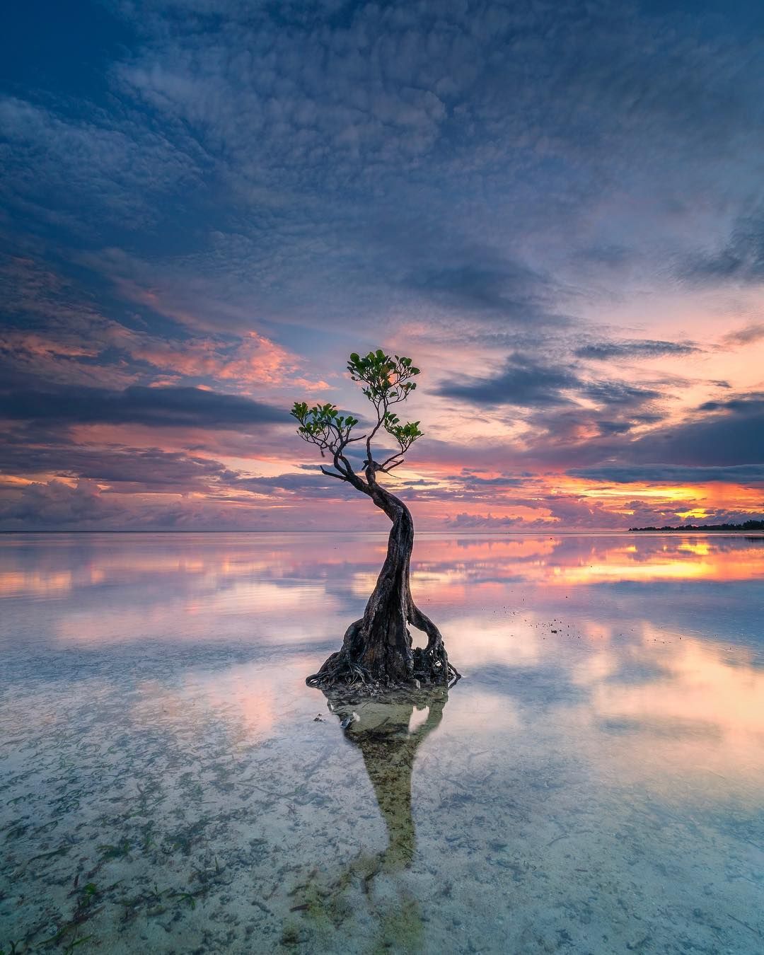 Walakiri Beach @novian_altelucav