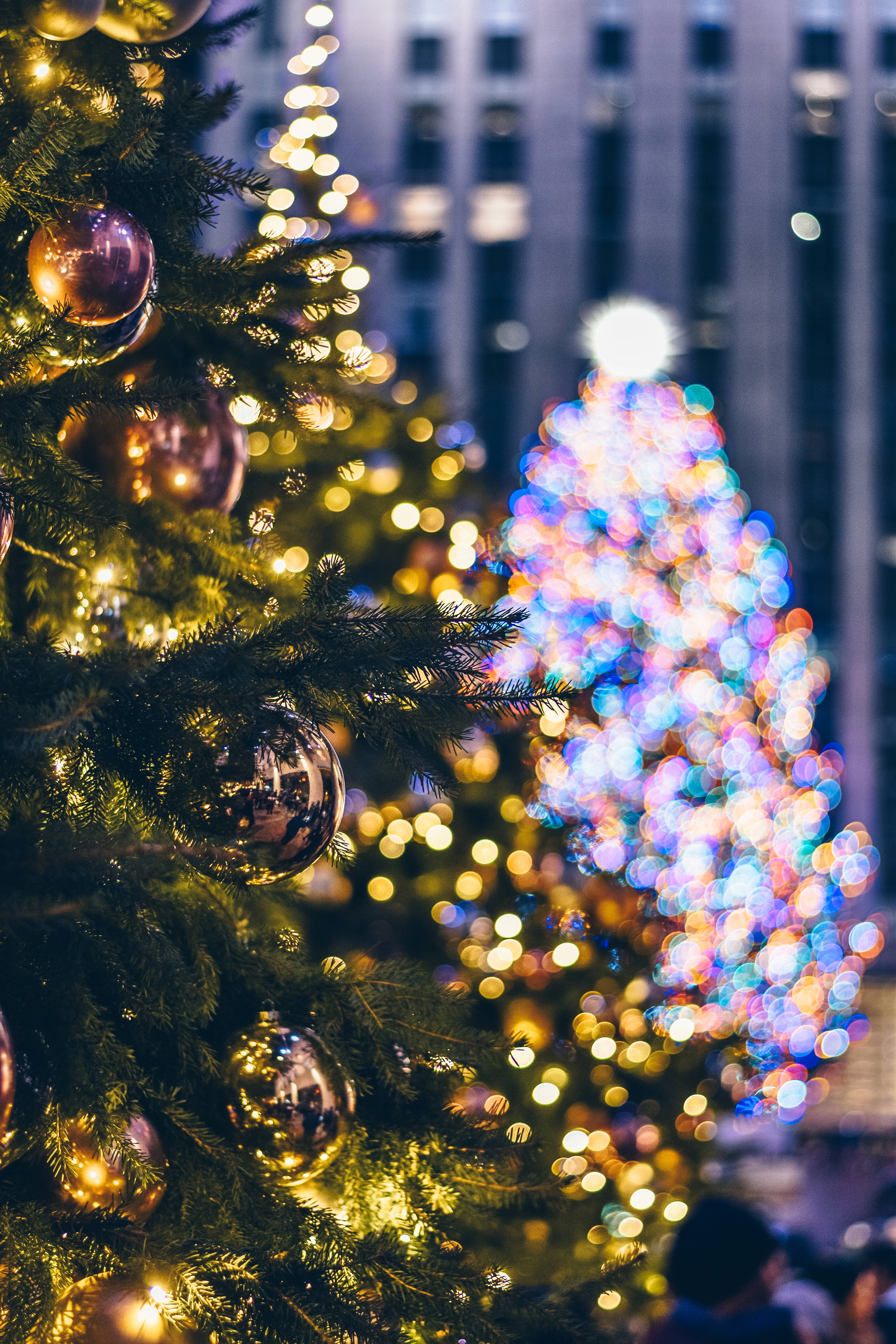 Download Aesthetic Christmas Tree Wallpaper