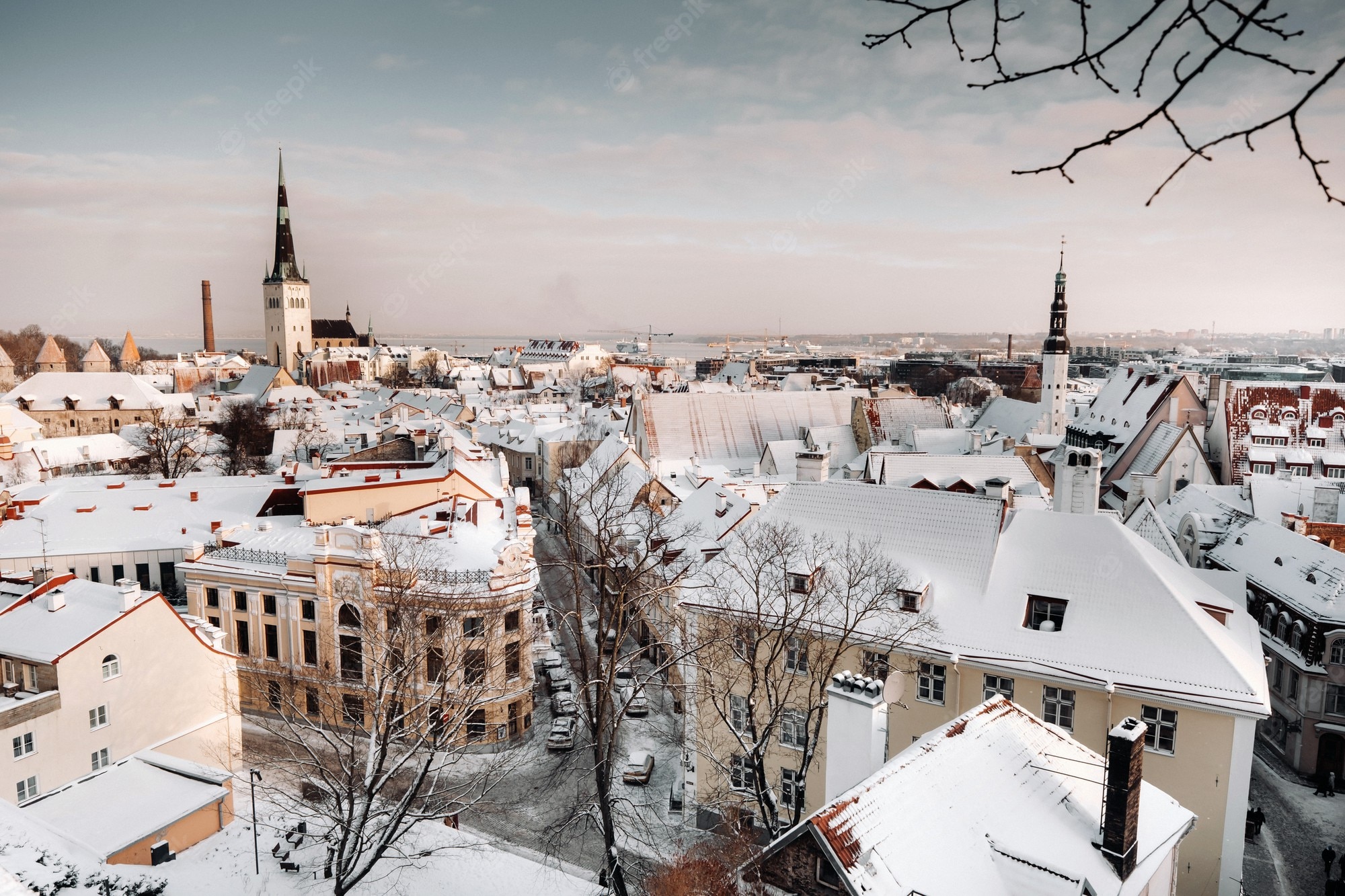 Premium Photo. Winter View Of The Old Town Of Tallinn.snow Covered City Near The Baltic Sea. Estonia