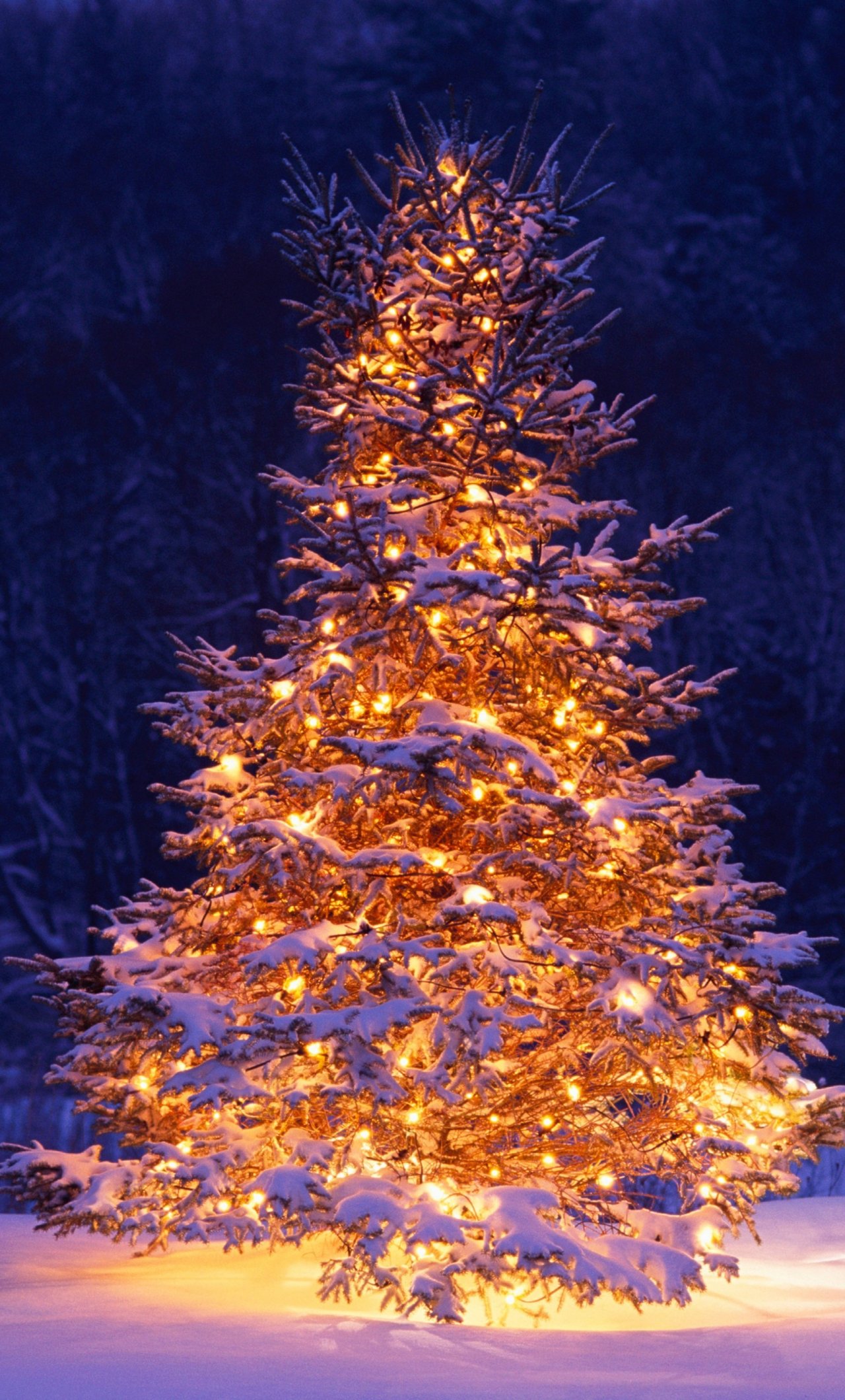 Download wallpaper 1280x2120 christmas tree, chairs, winter, christmas, holiday, iphone 6 plus, 1280x2120 HD background, 1460