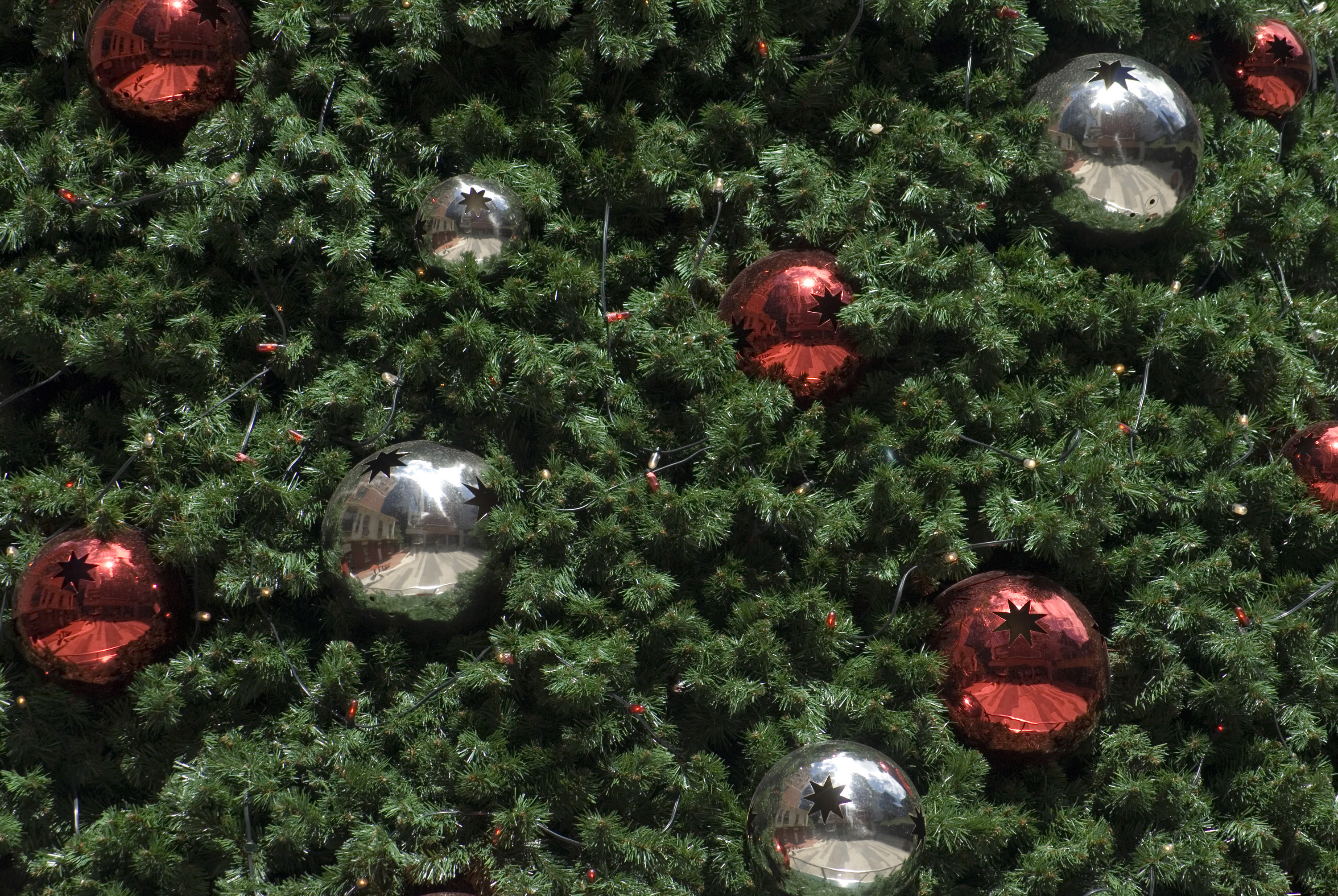 Photo of Christmas Tree Baubles. Free christmas image