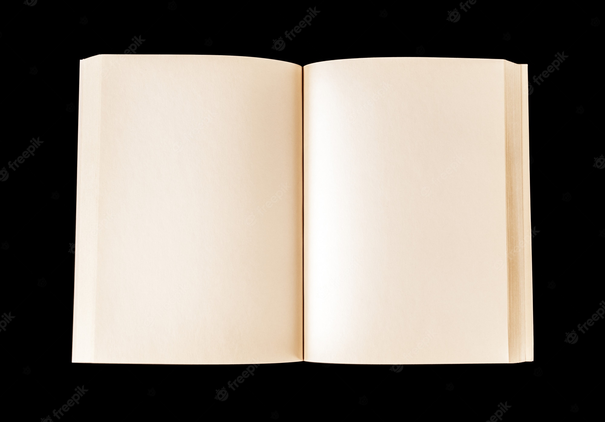 Premium Photo. Old open blank book isolated