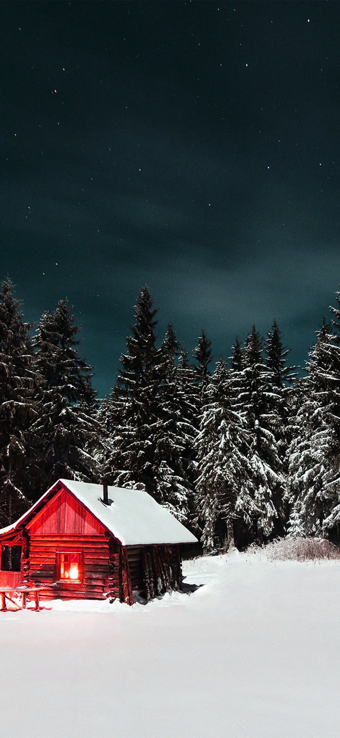 iPhone X wallpaper. winter house night sky christmas starry