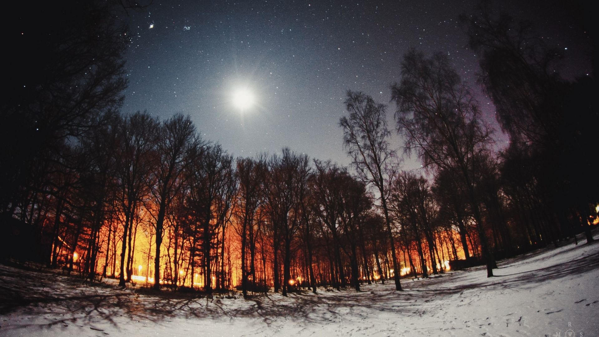 Desktop Wallpaper Night, Winter, Tree, Moon, HD Image, Picture, Background, F3D3xl