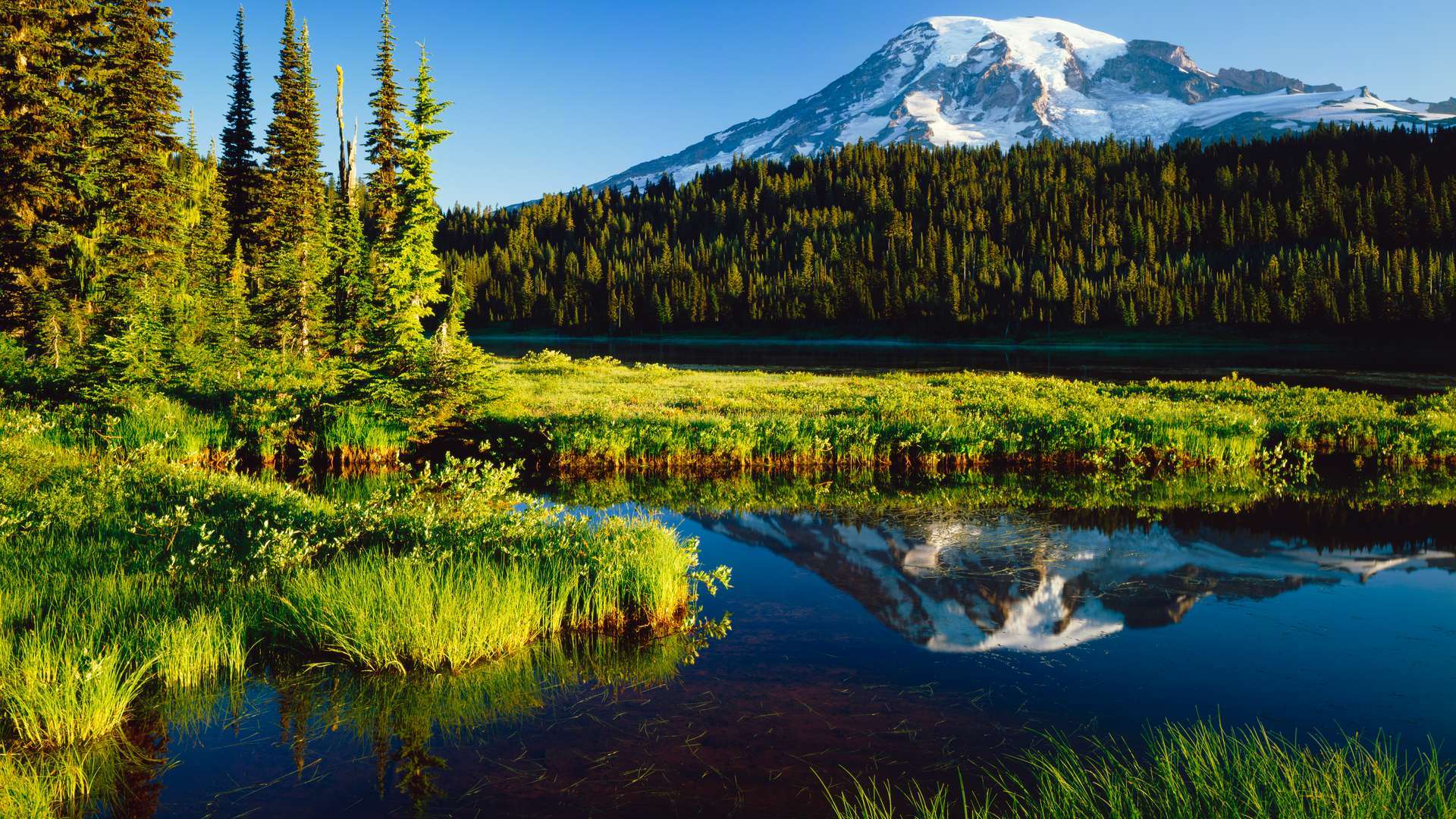 Seattle & The Pacific Northwest Holidays. Book For 2023 2024 Now